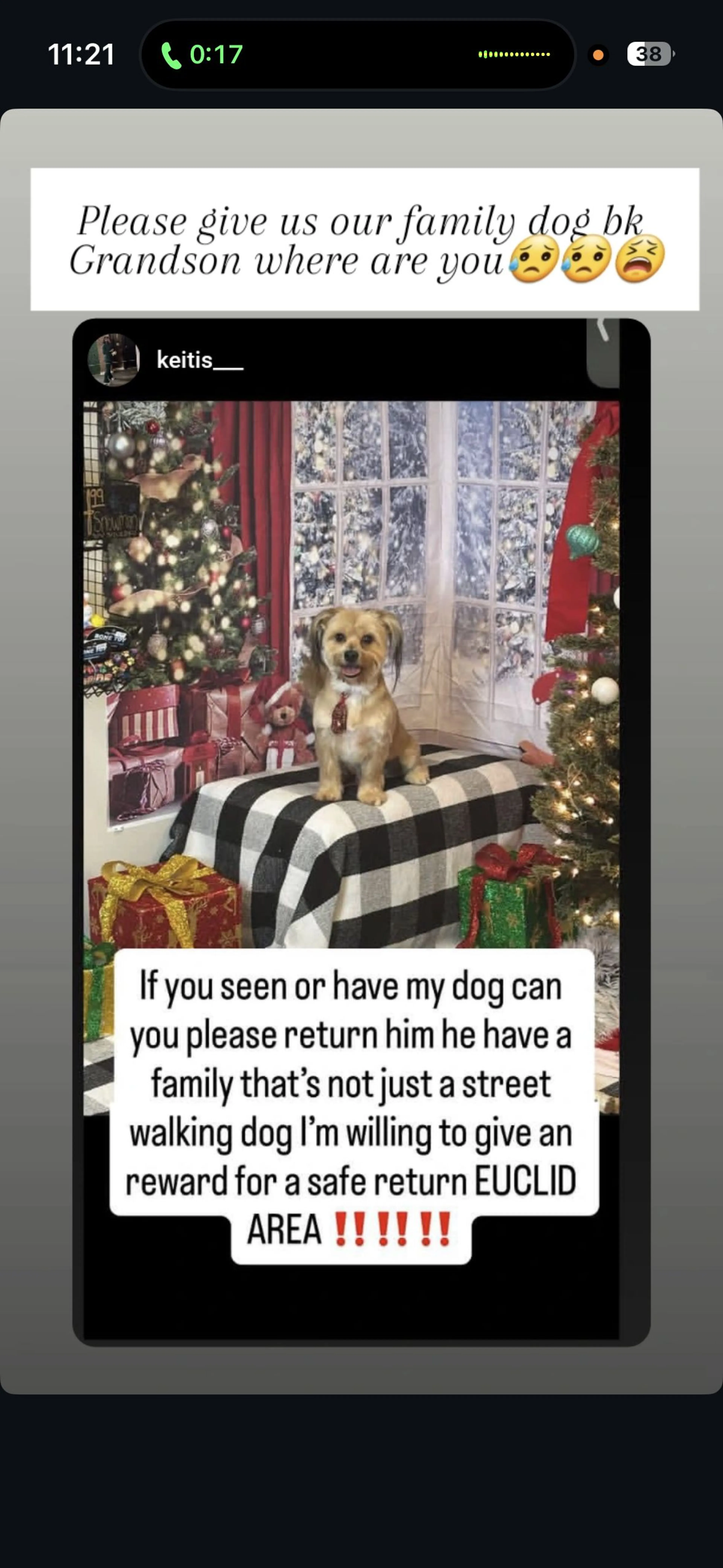 Lost pet