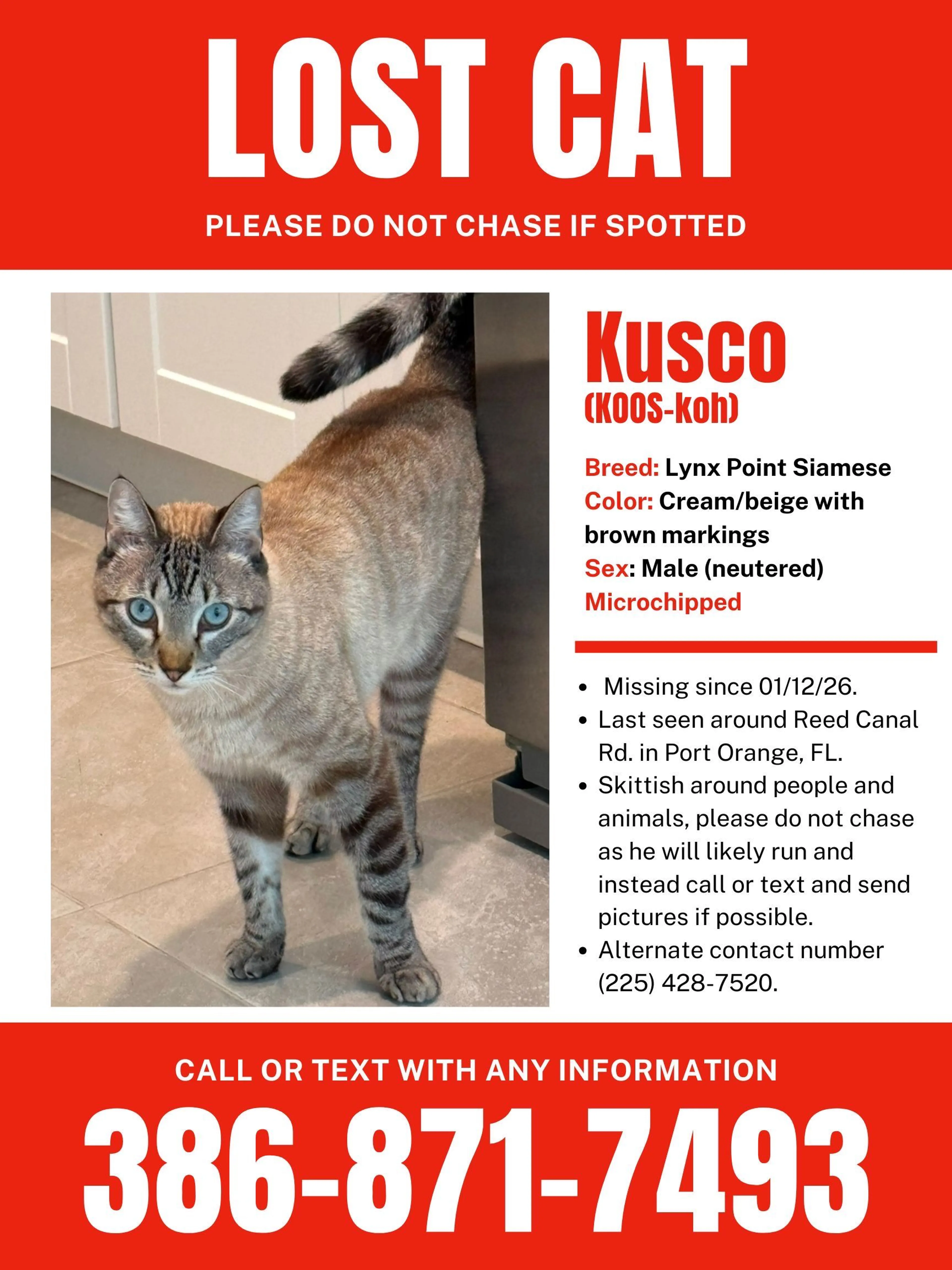 Lost pet-1