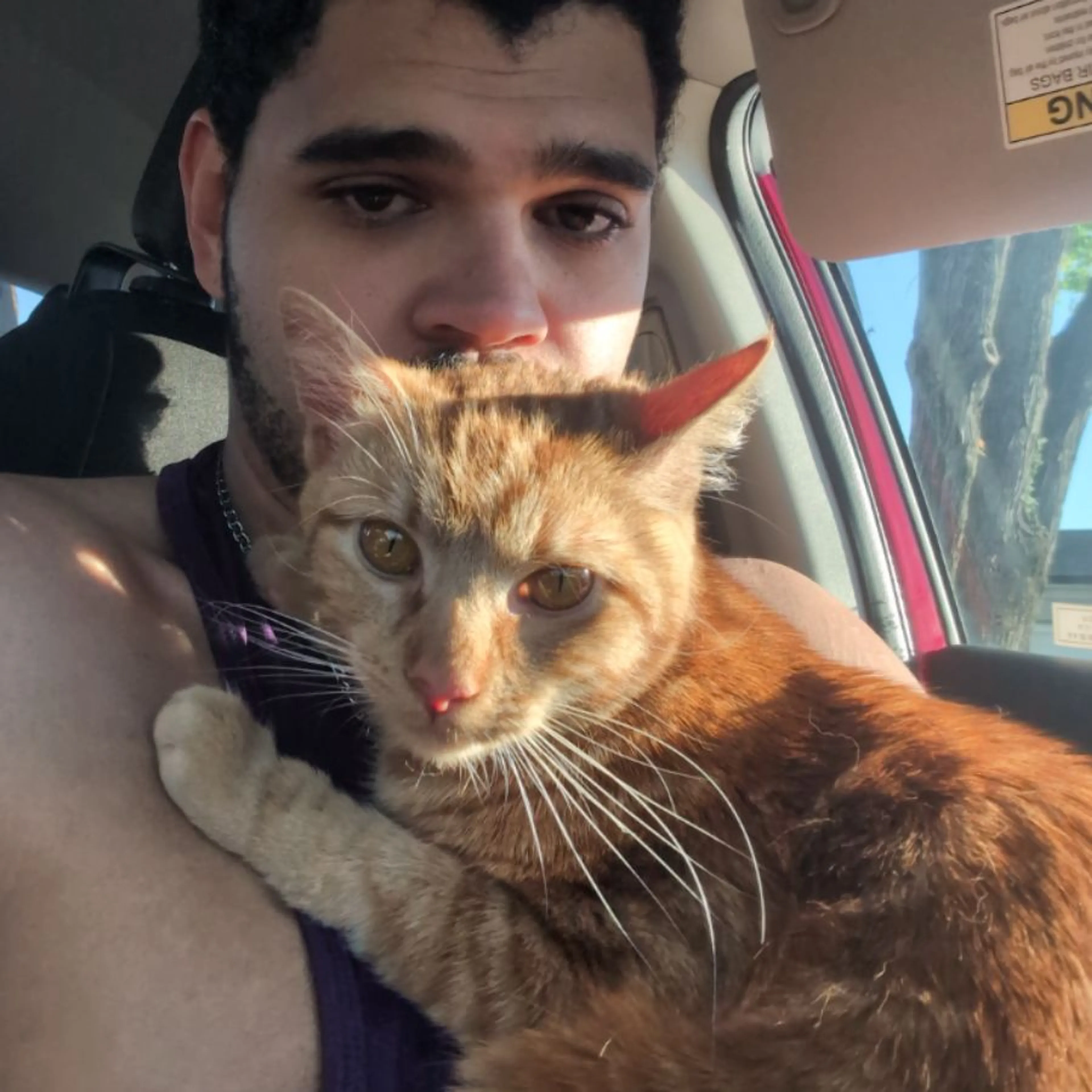 Lost pet