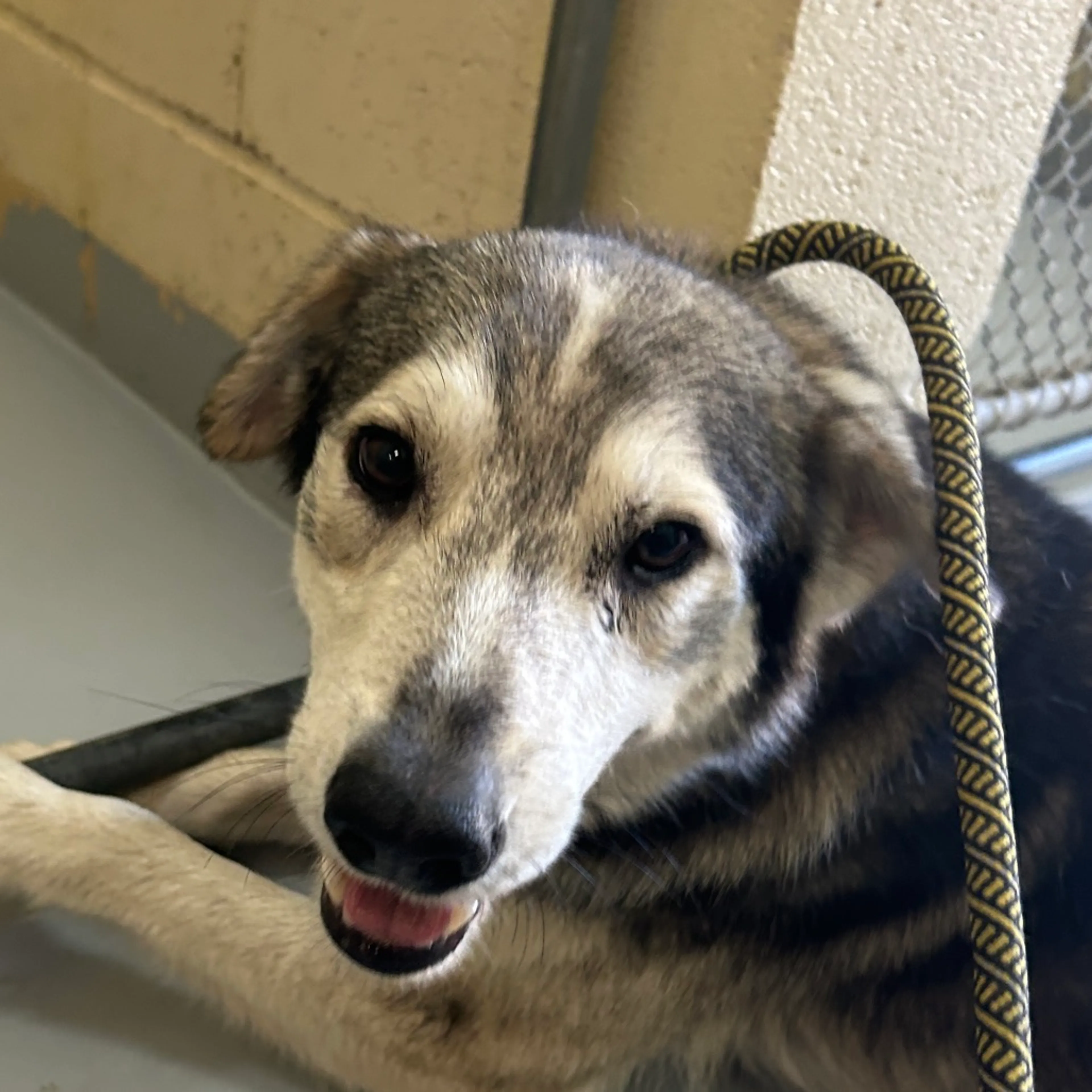 -2