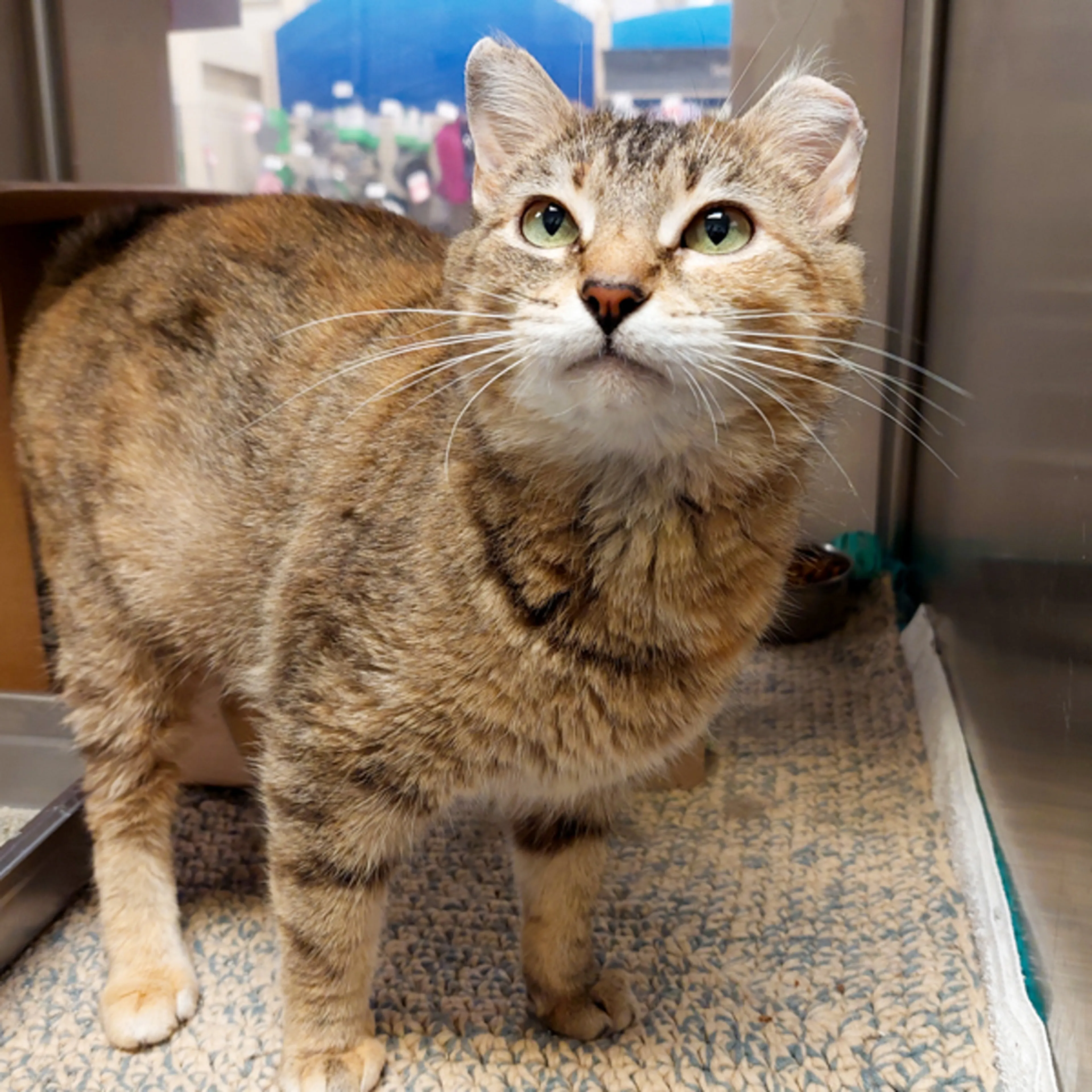 -1