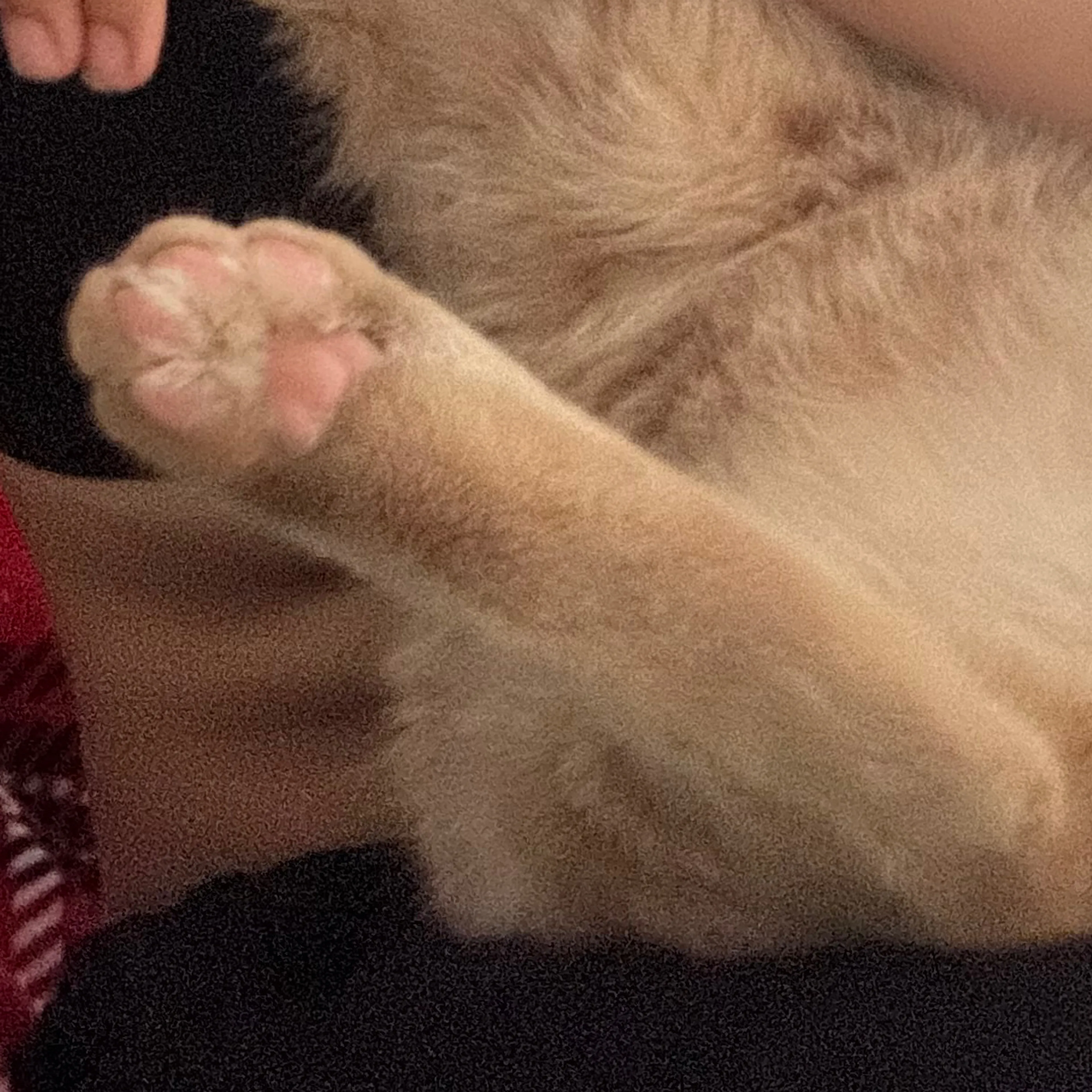 -3