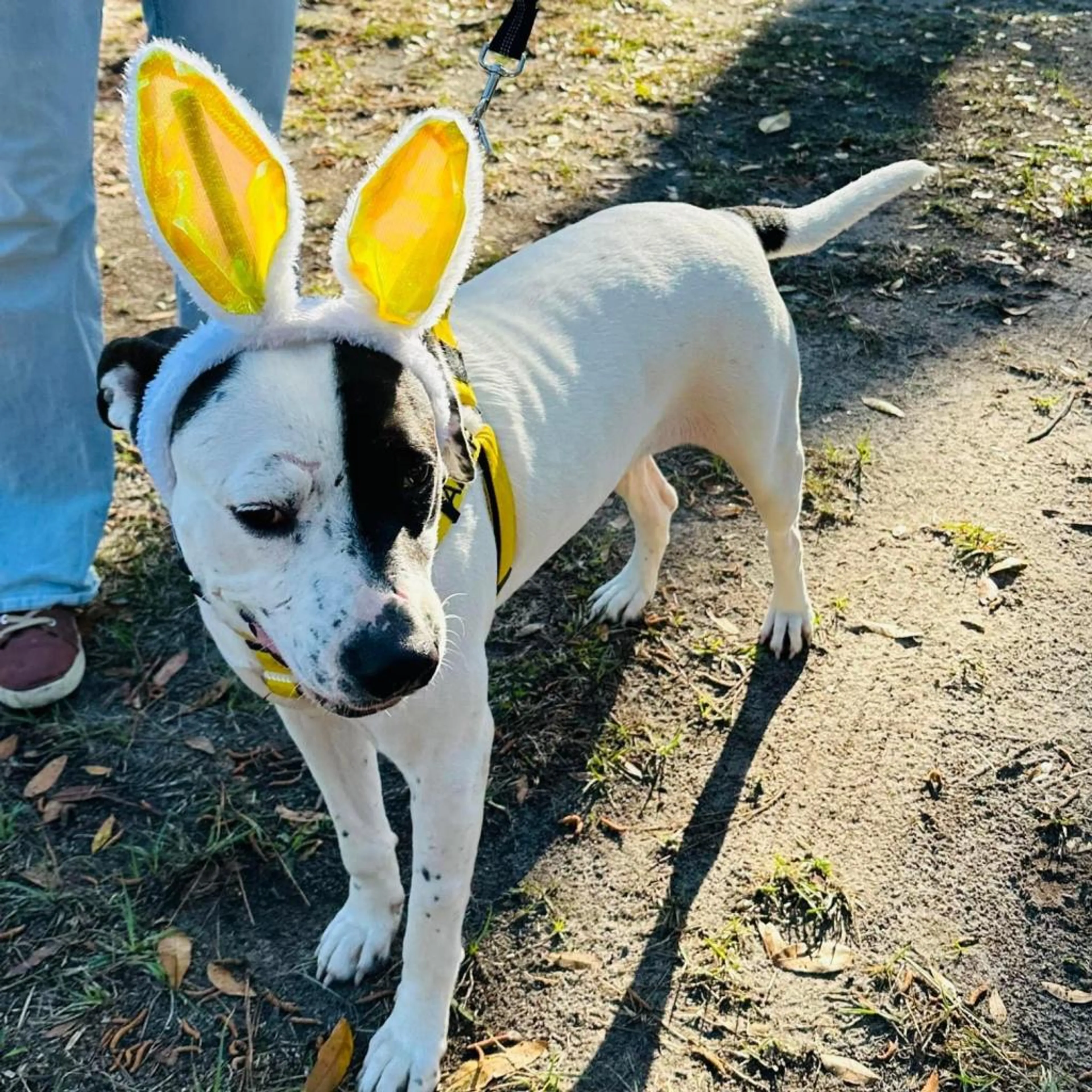 -3