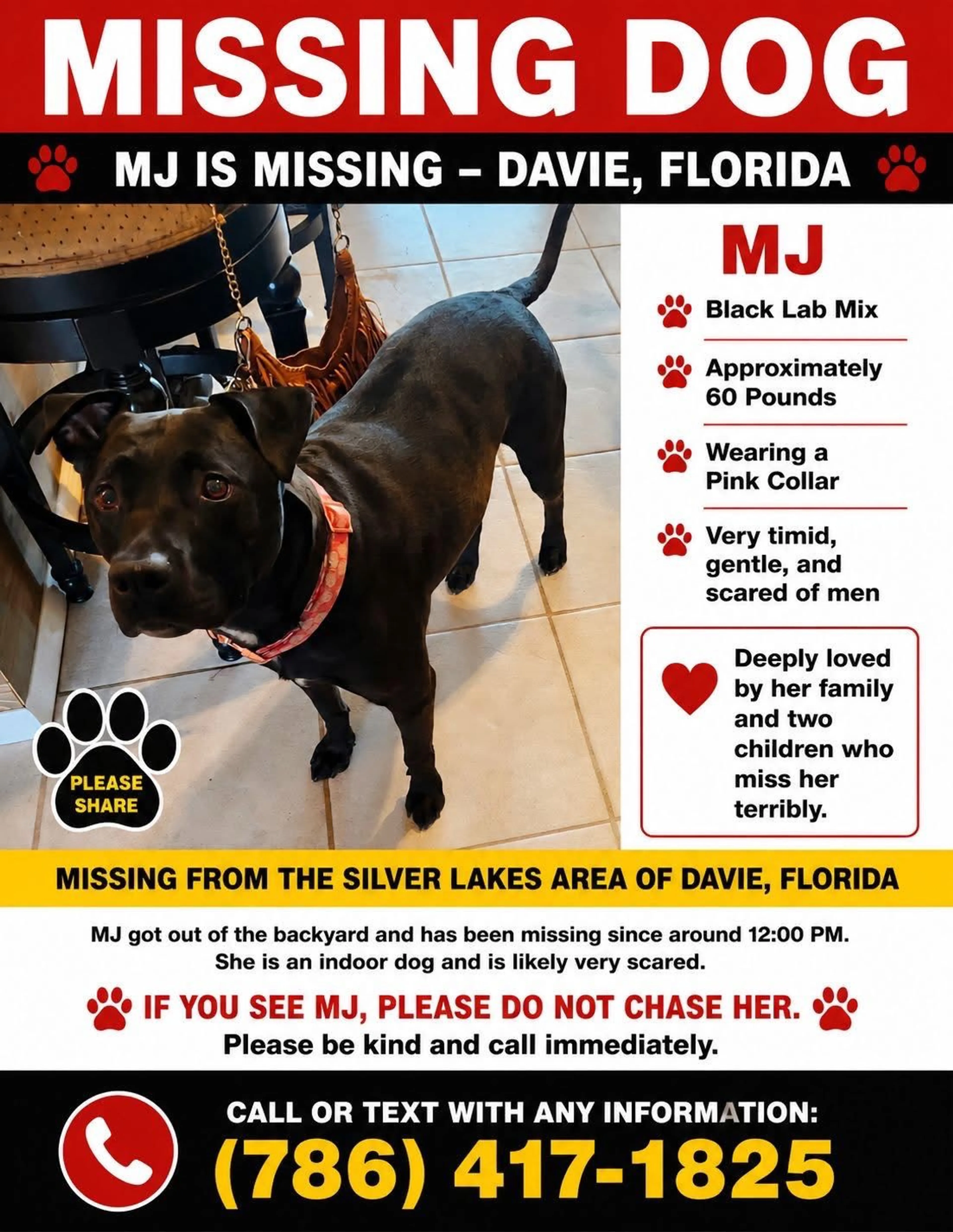 Lost pet