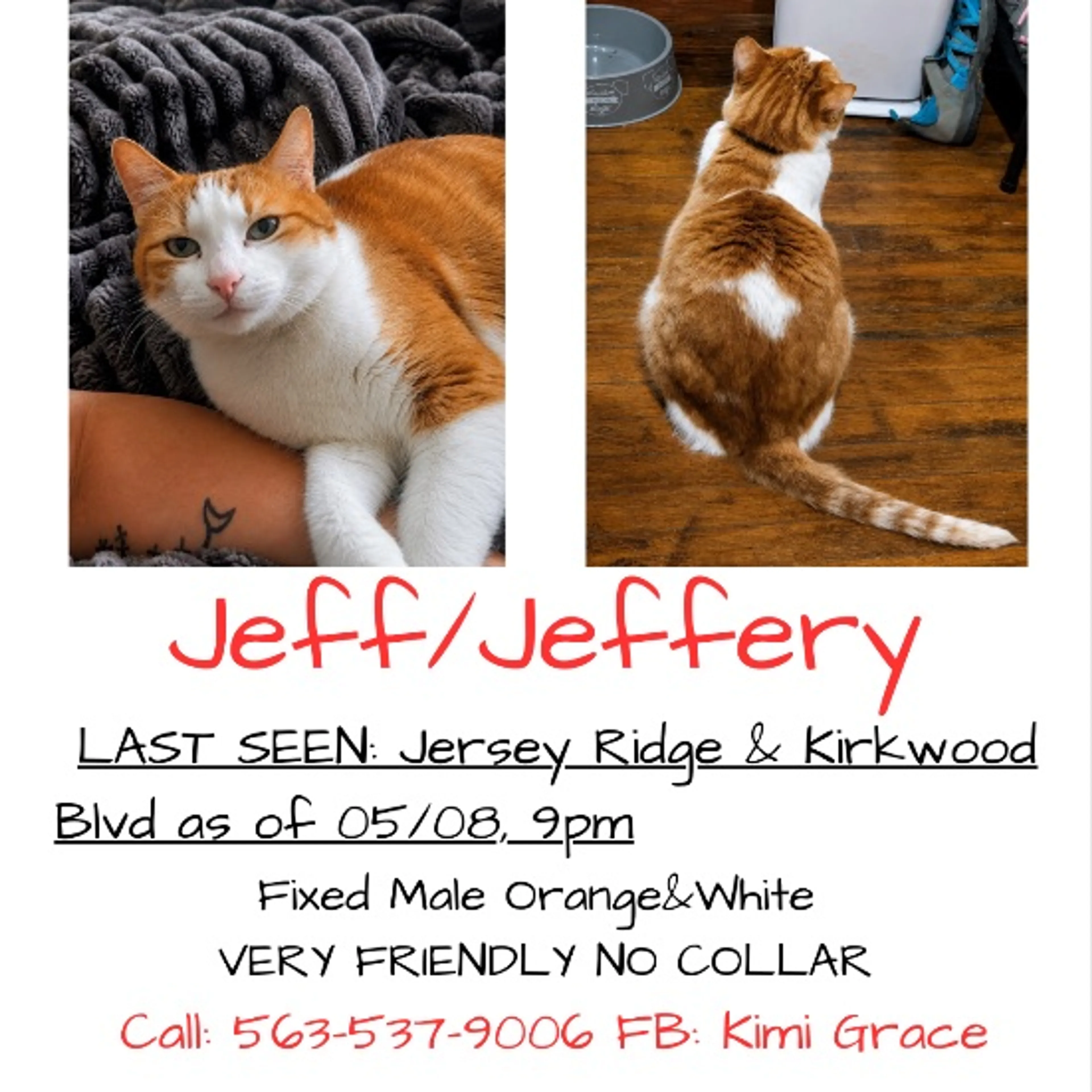 Lost pet-0