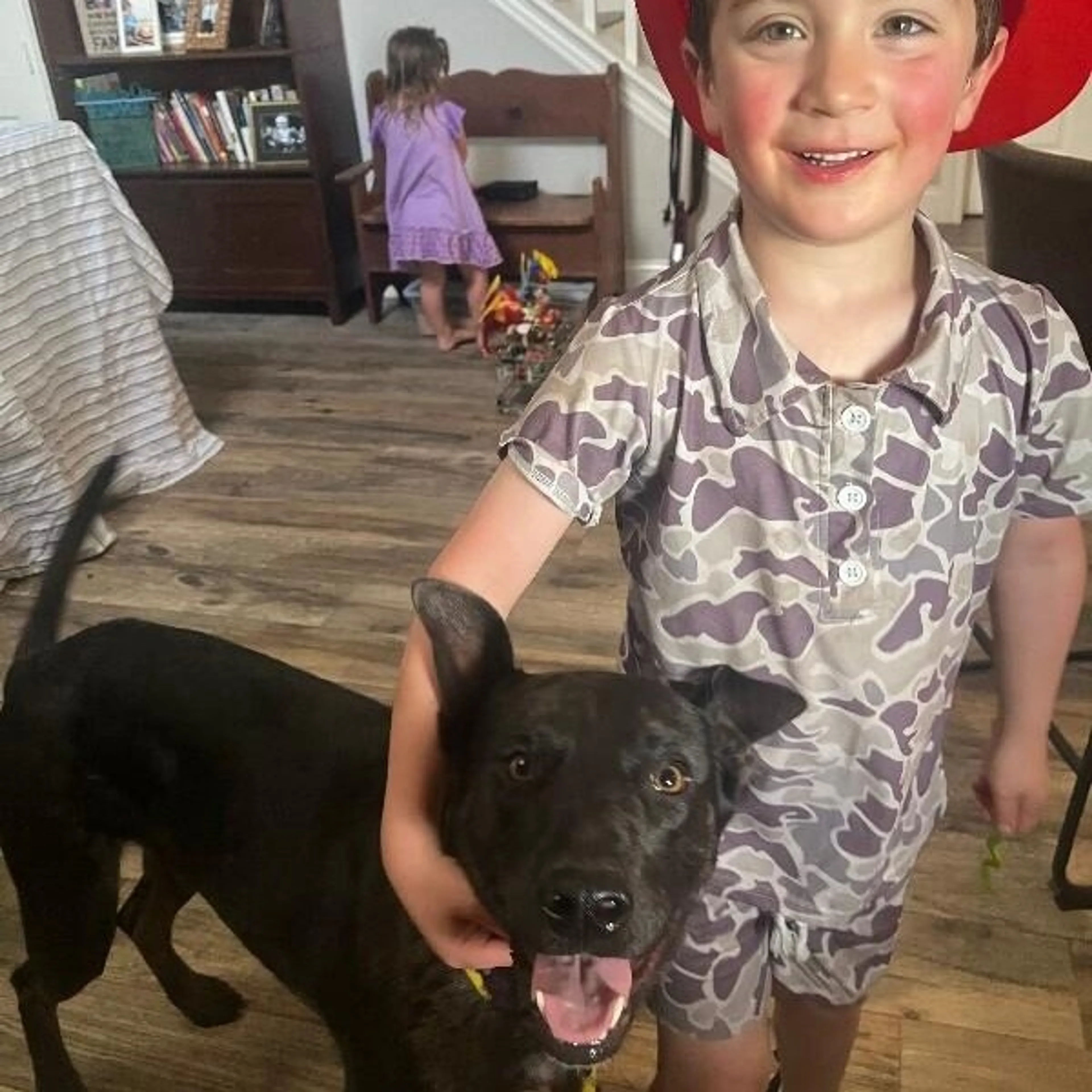 Found pet-1