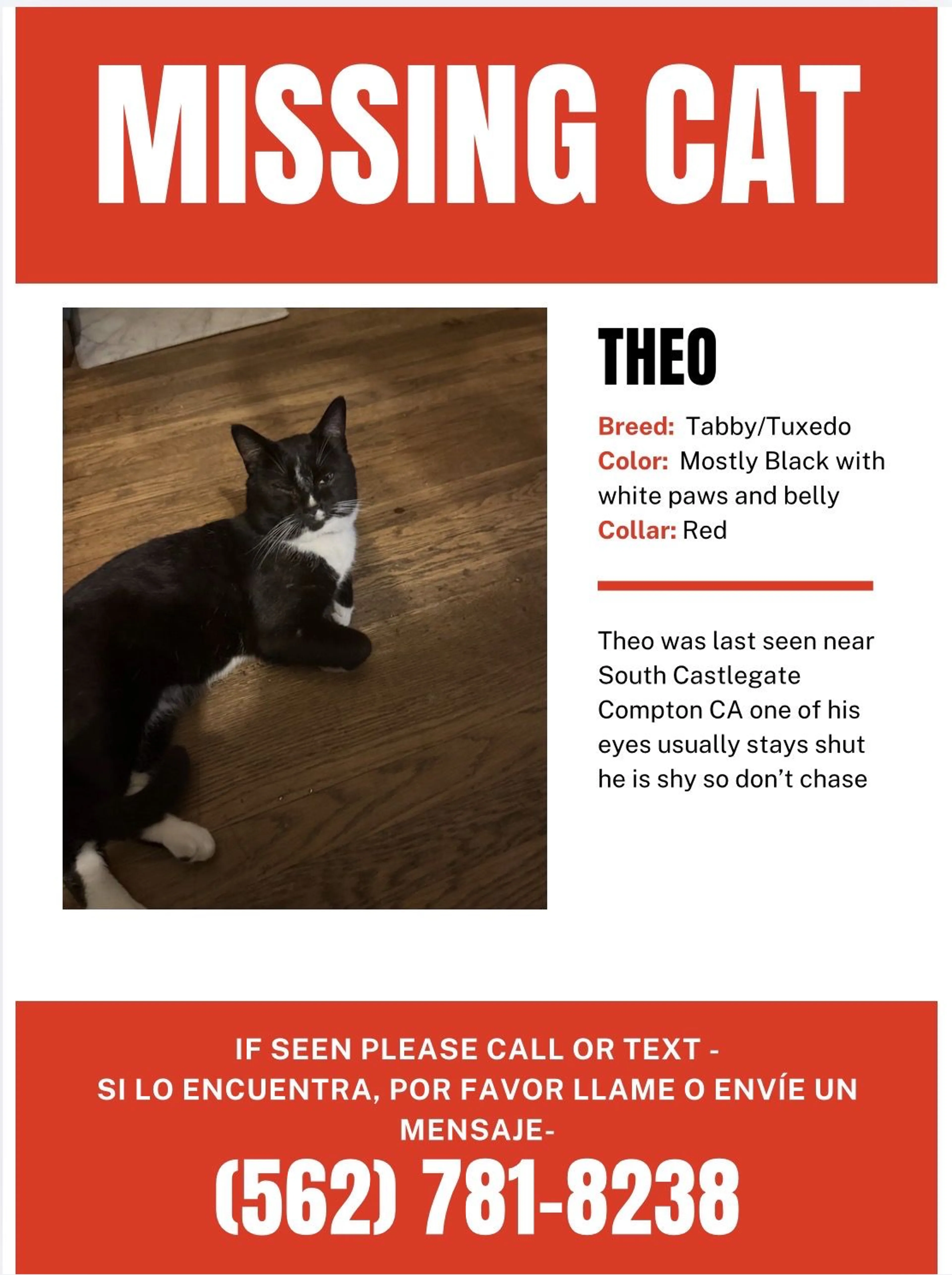 Lost pet-0