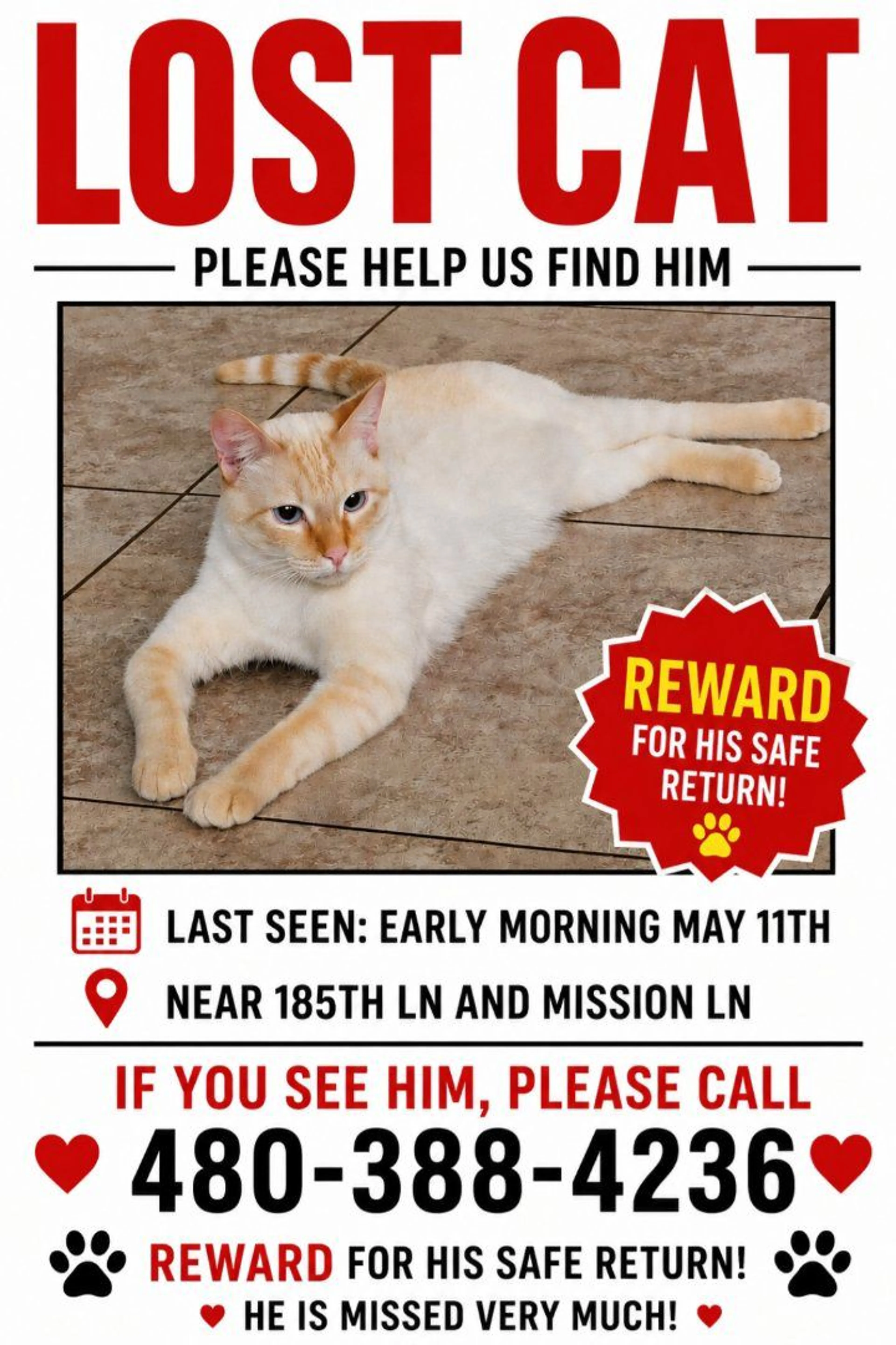 Lost pet