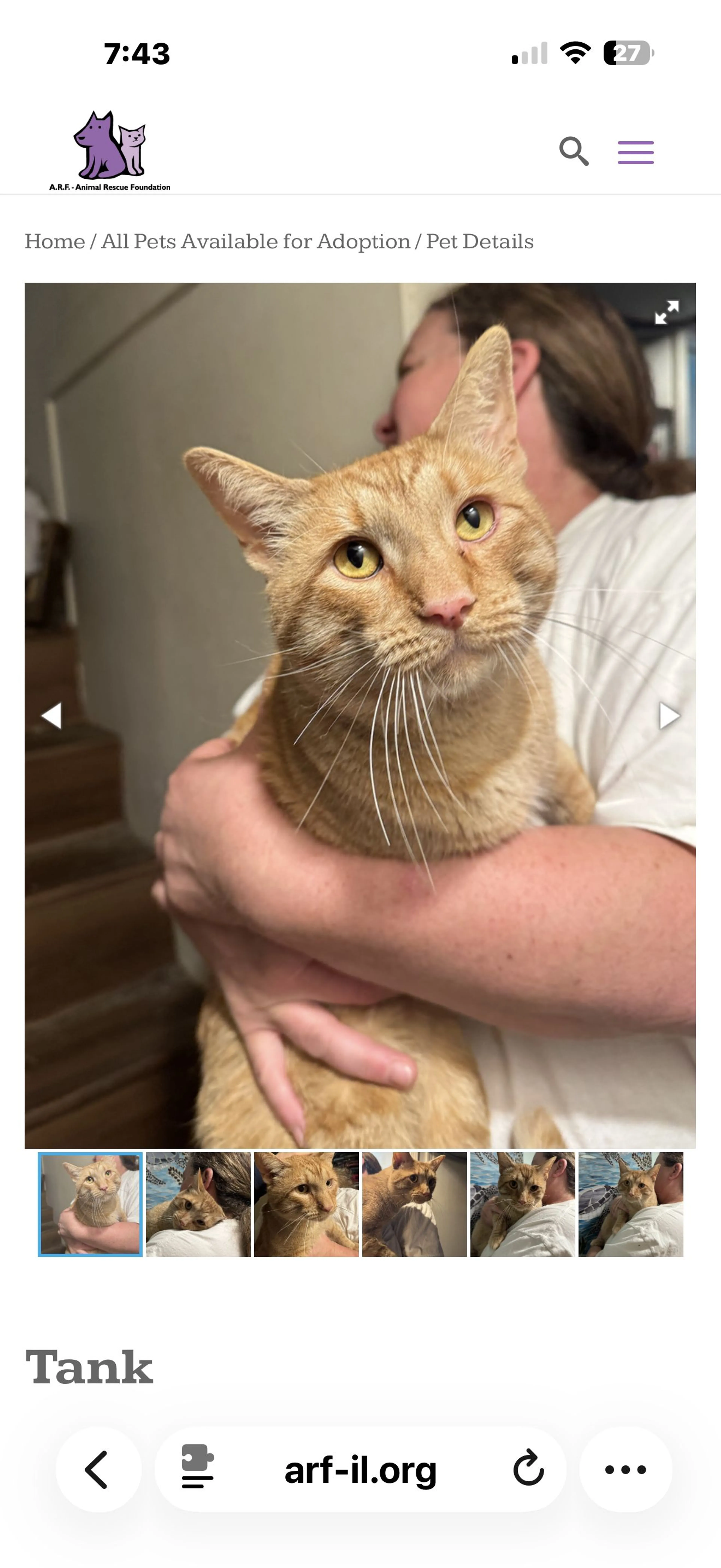 Lost pet