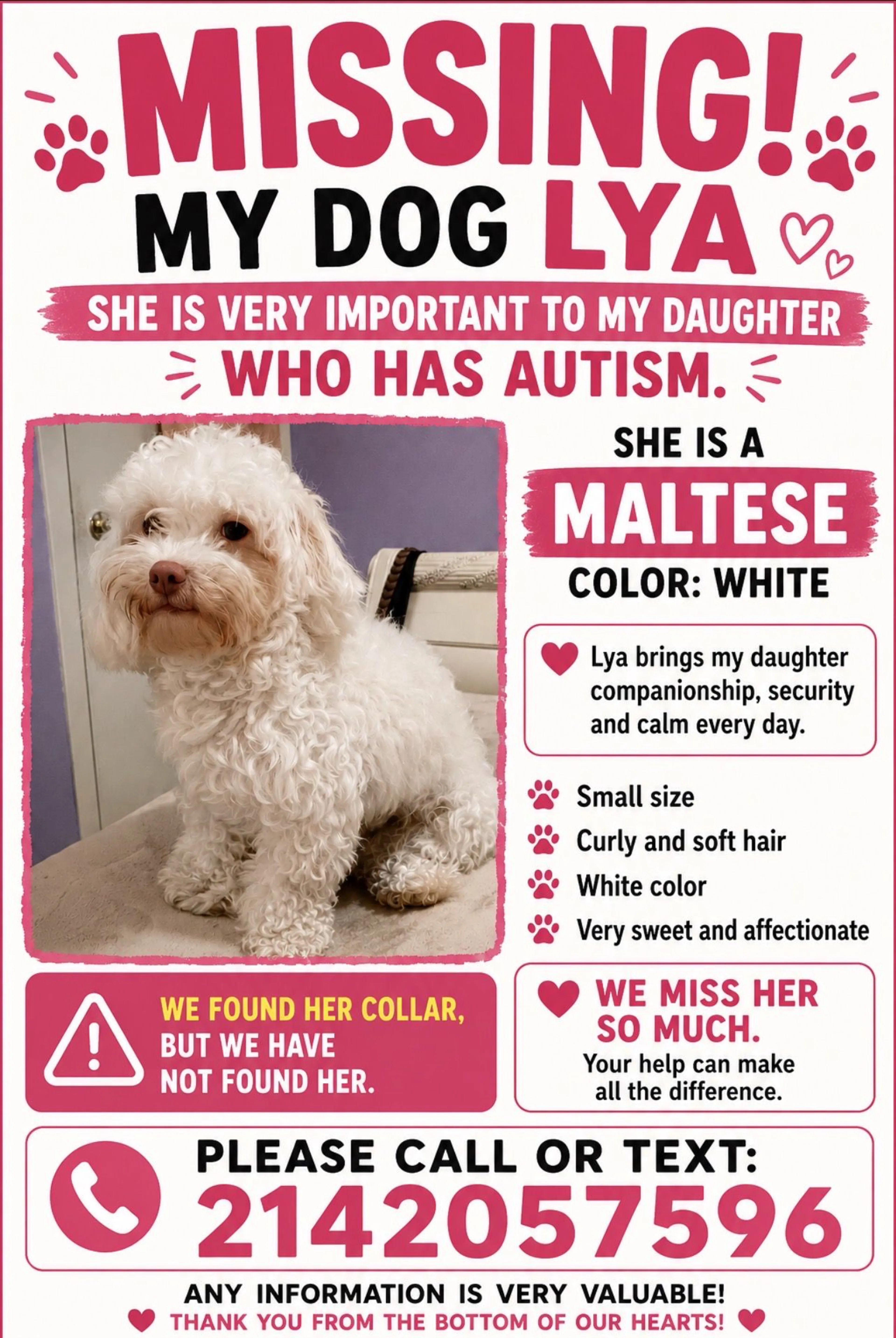 Lost pet-0