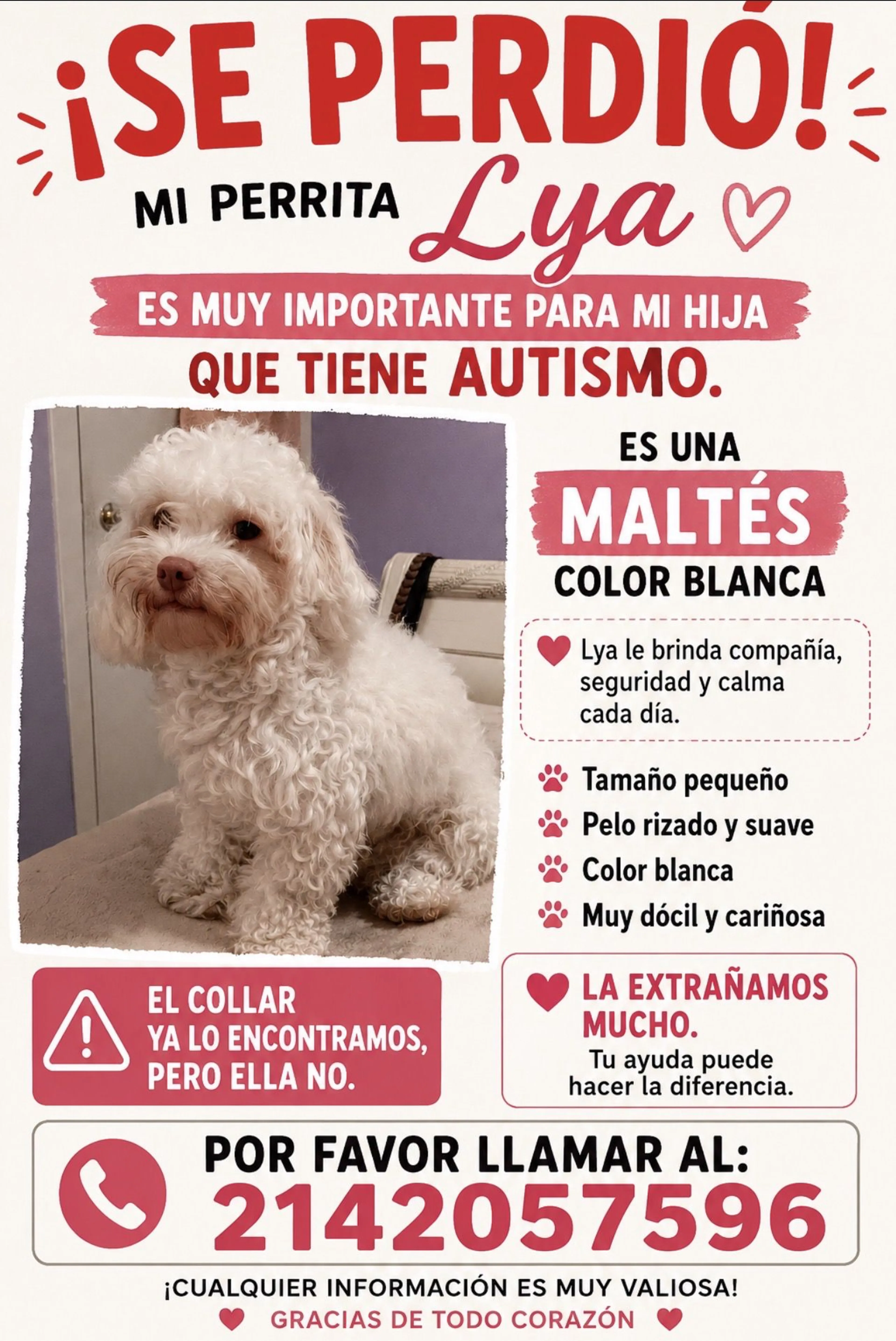 Lost pet-1