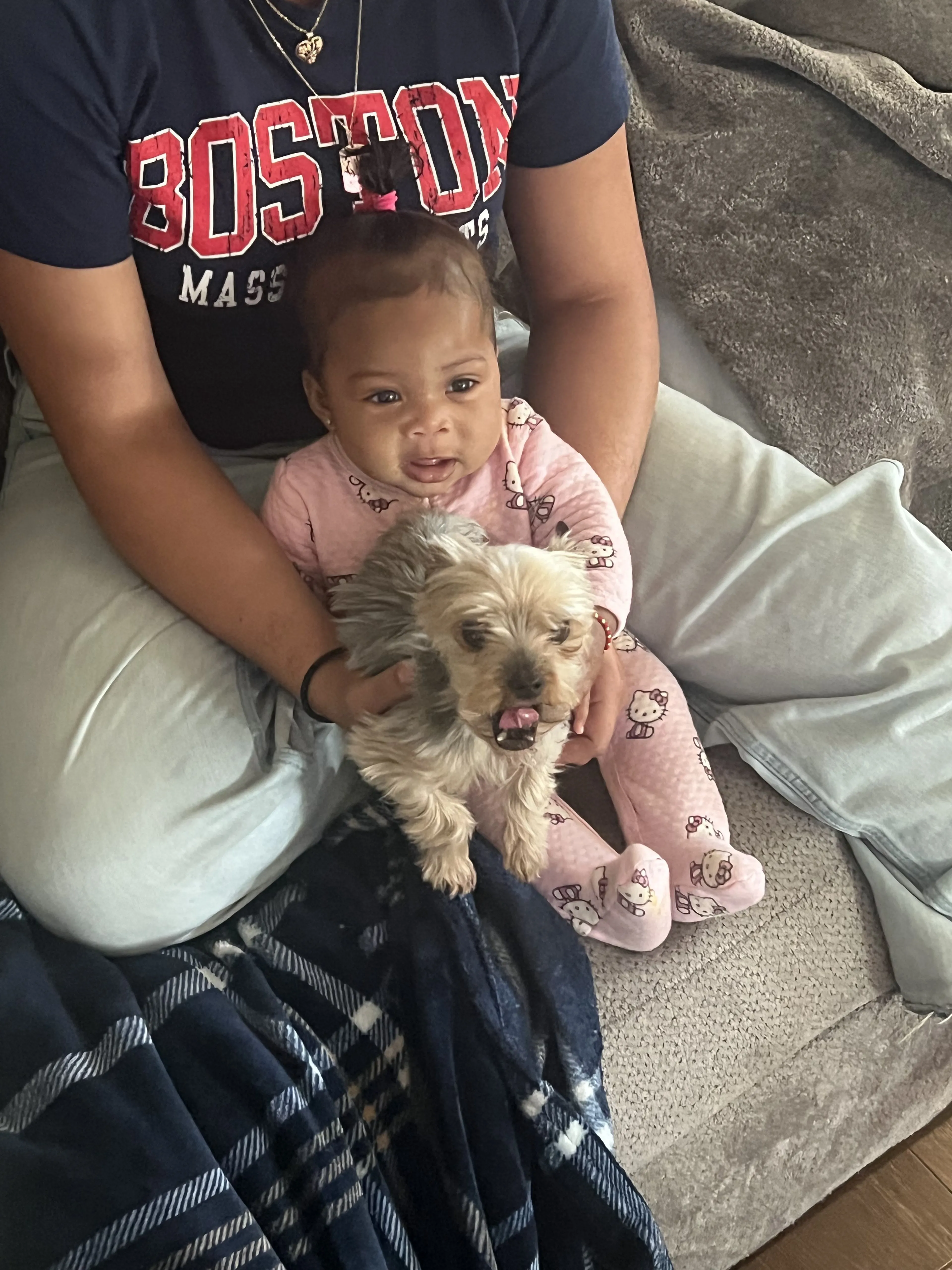 Lost pet