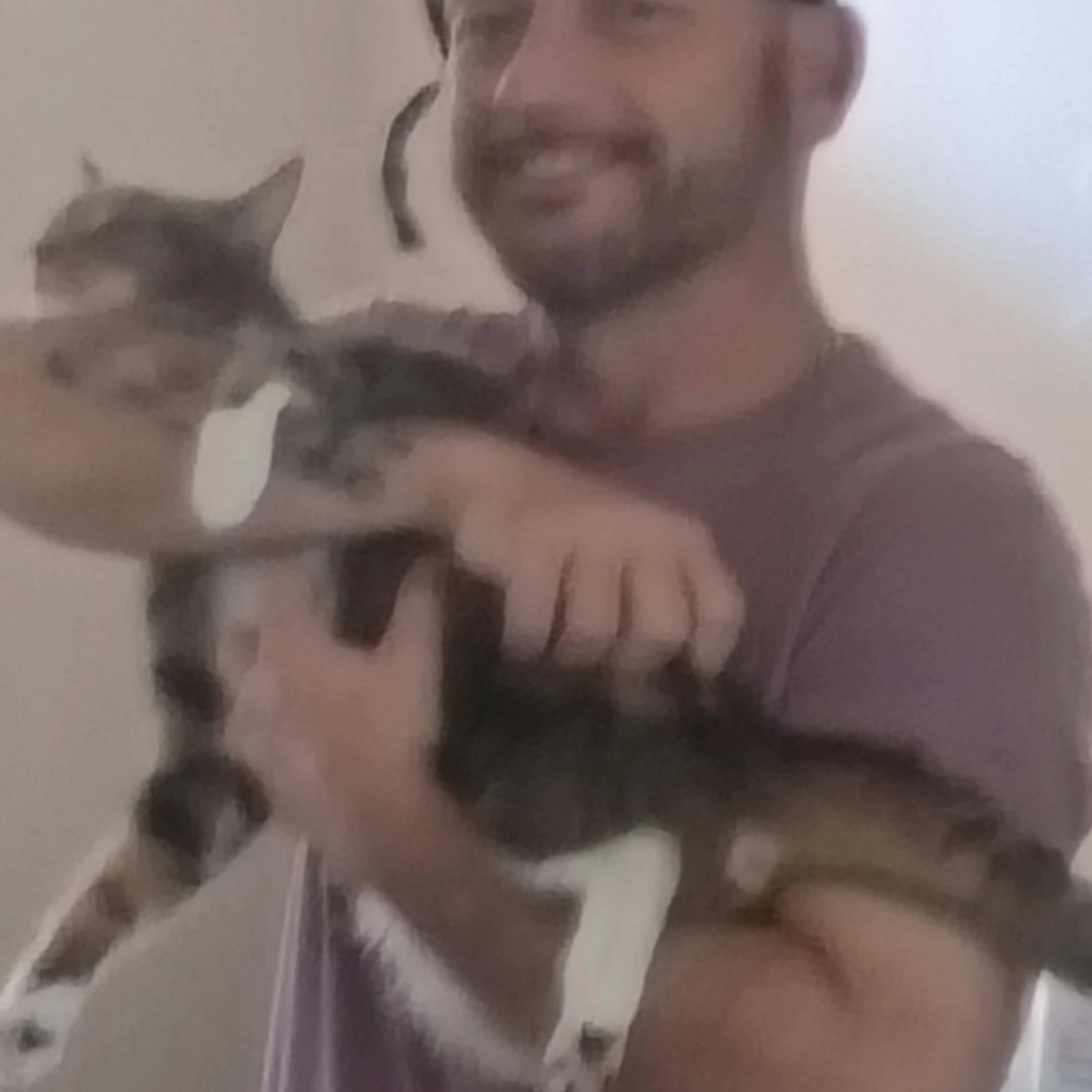 Lost pet-1