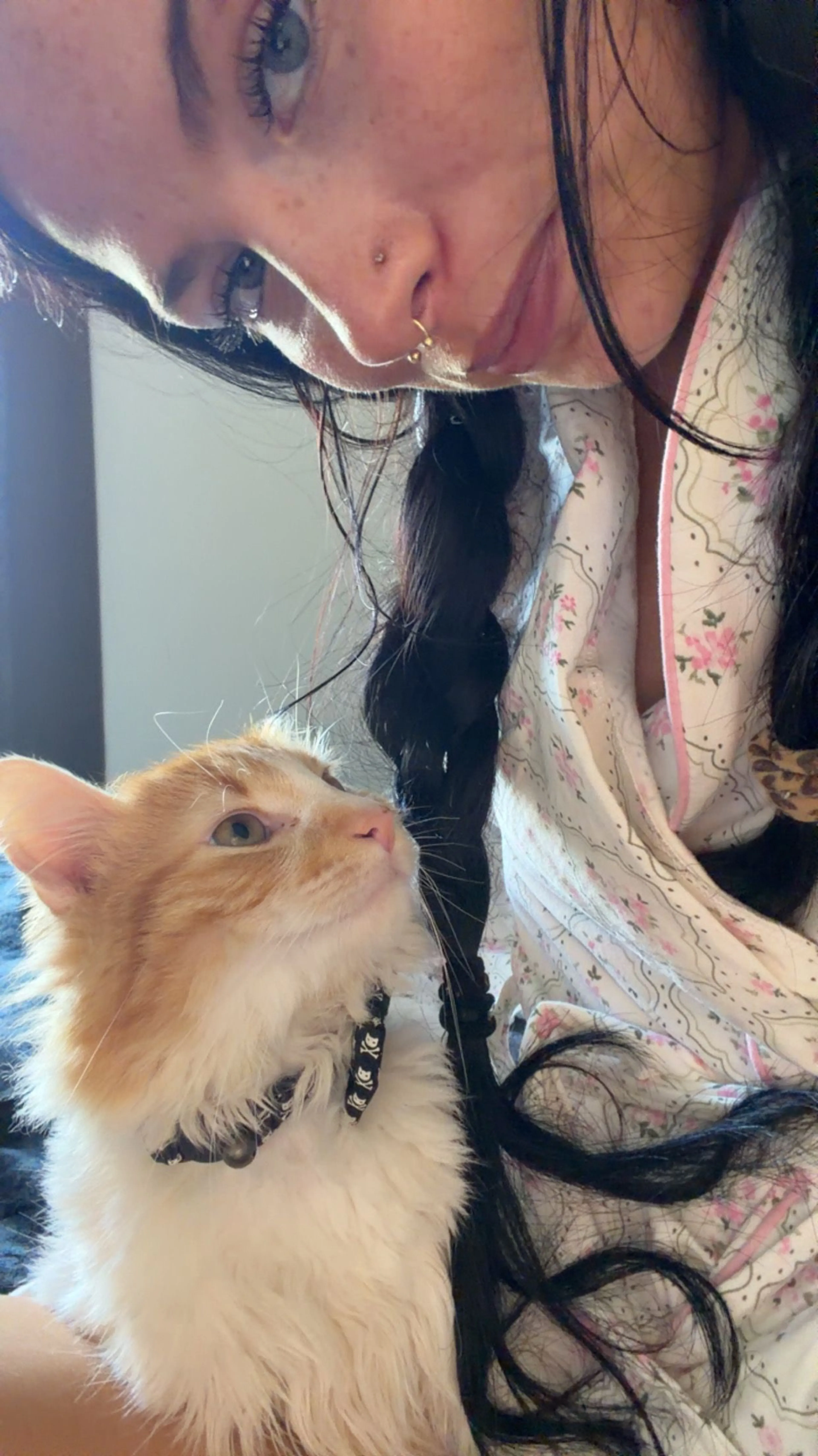 Lost pet-4