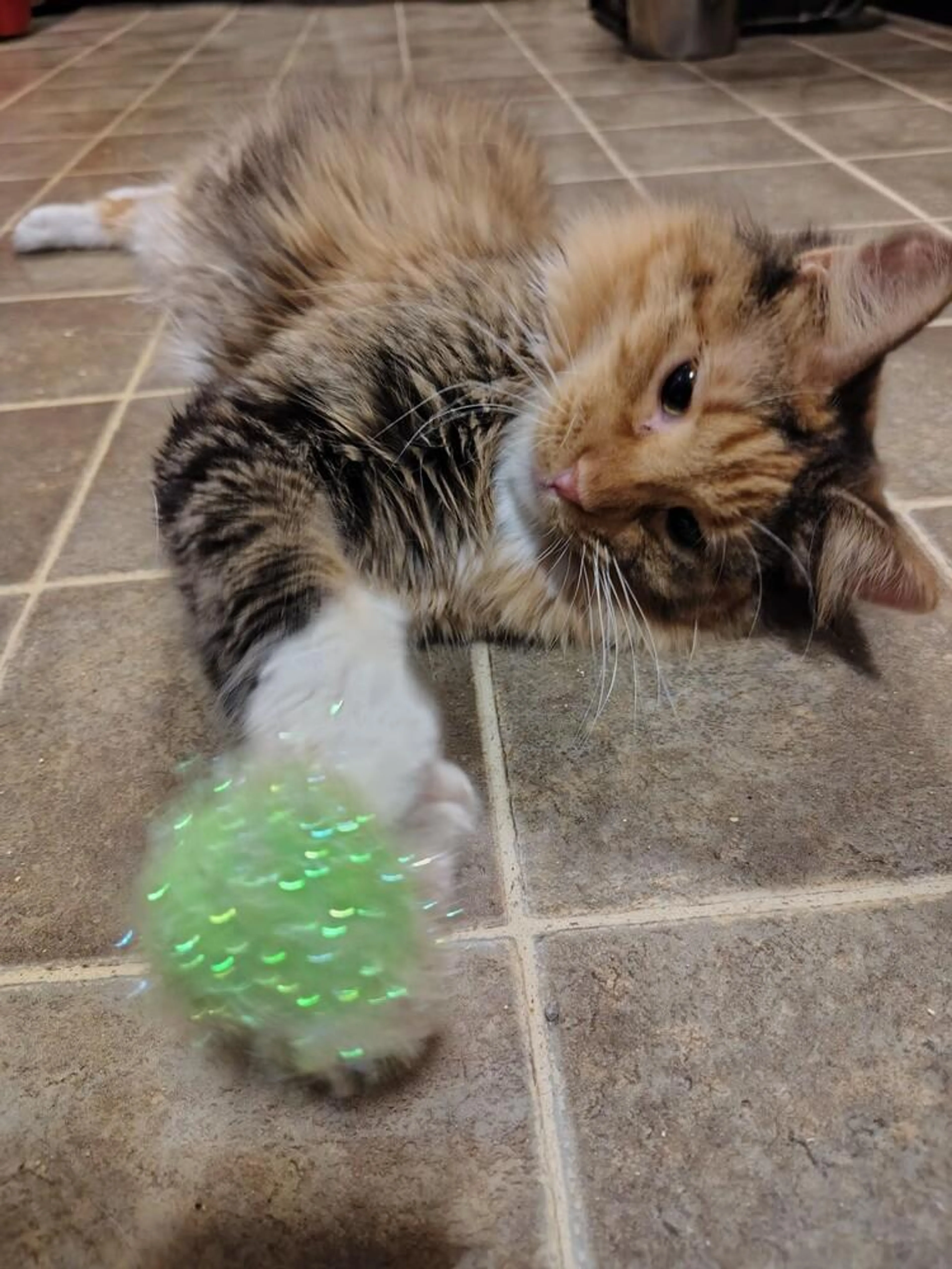 -1