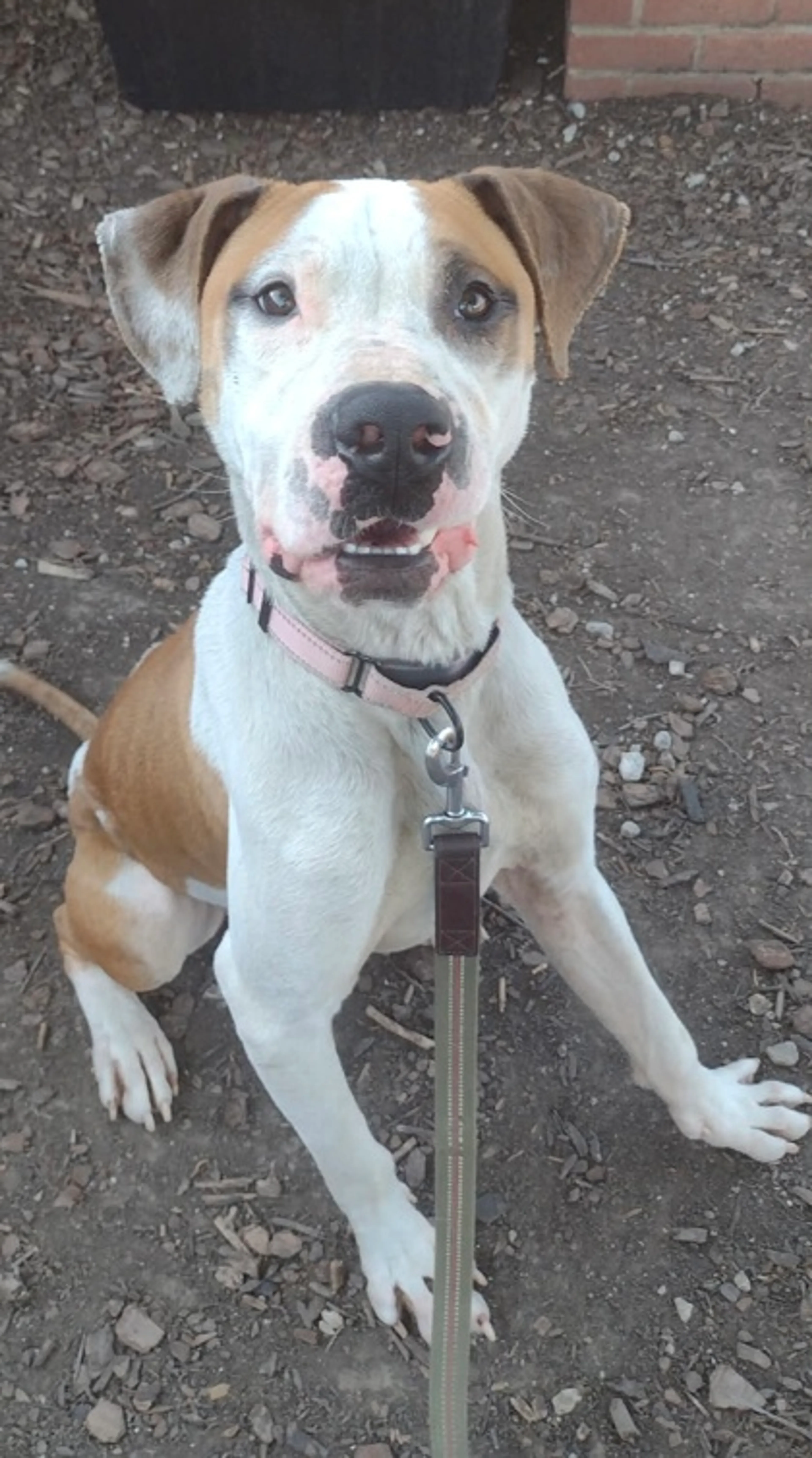 -2