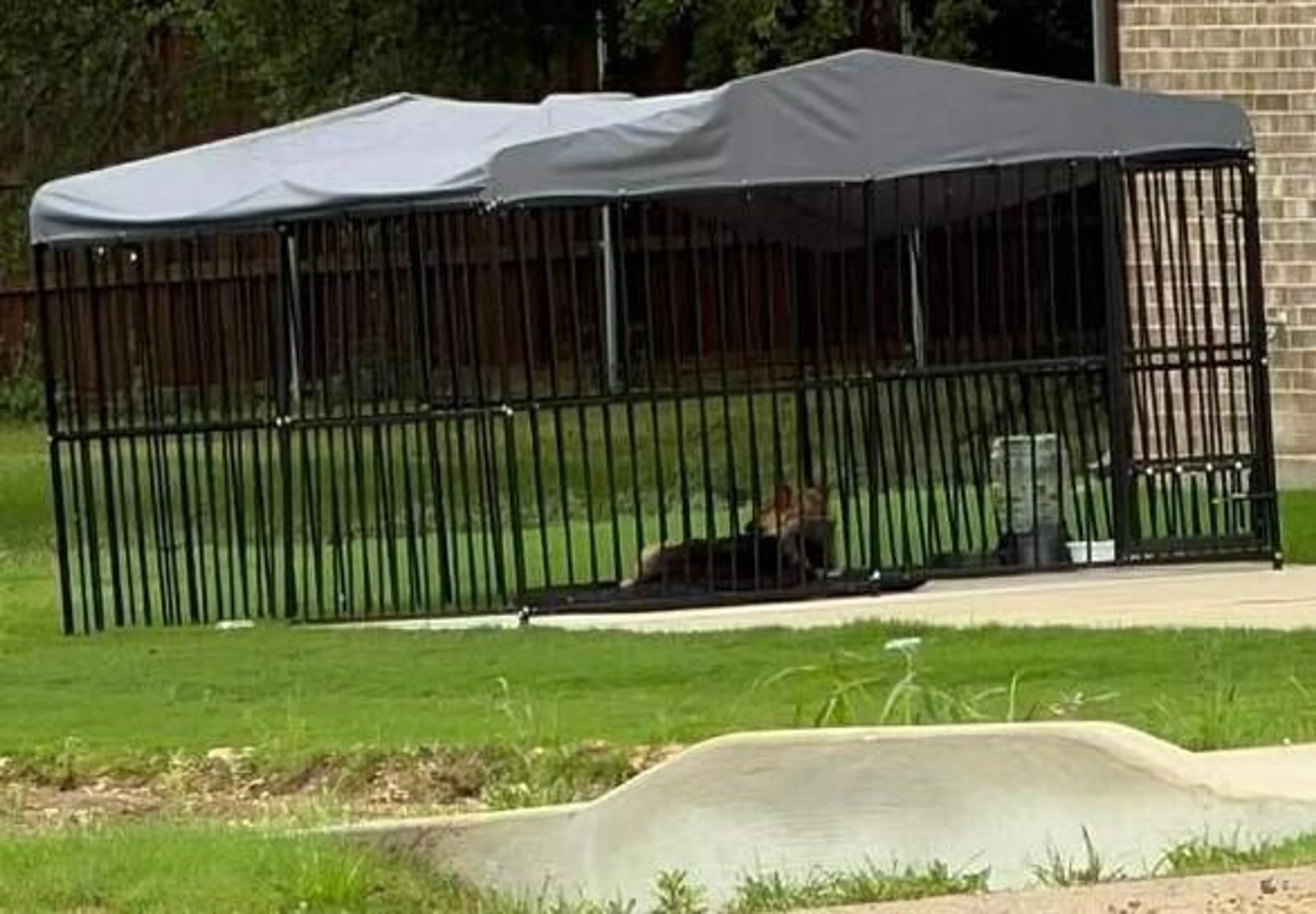 Found pet-2