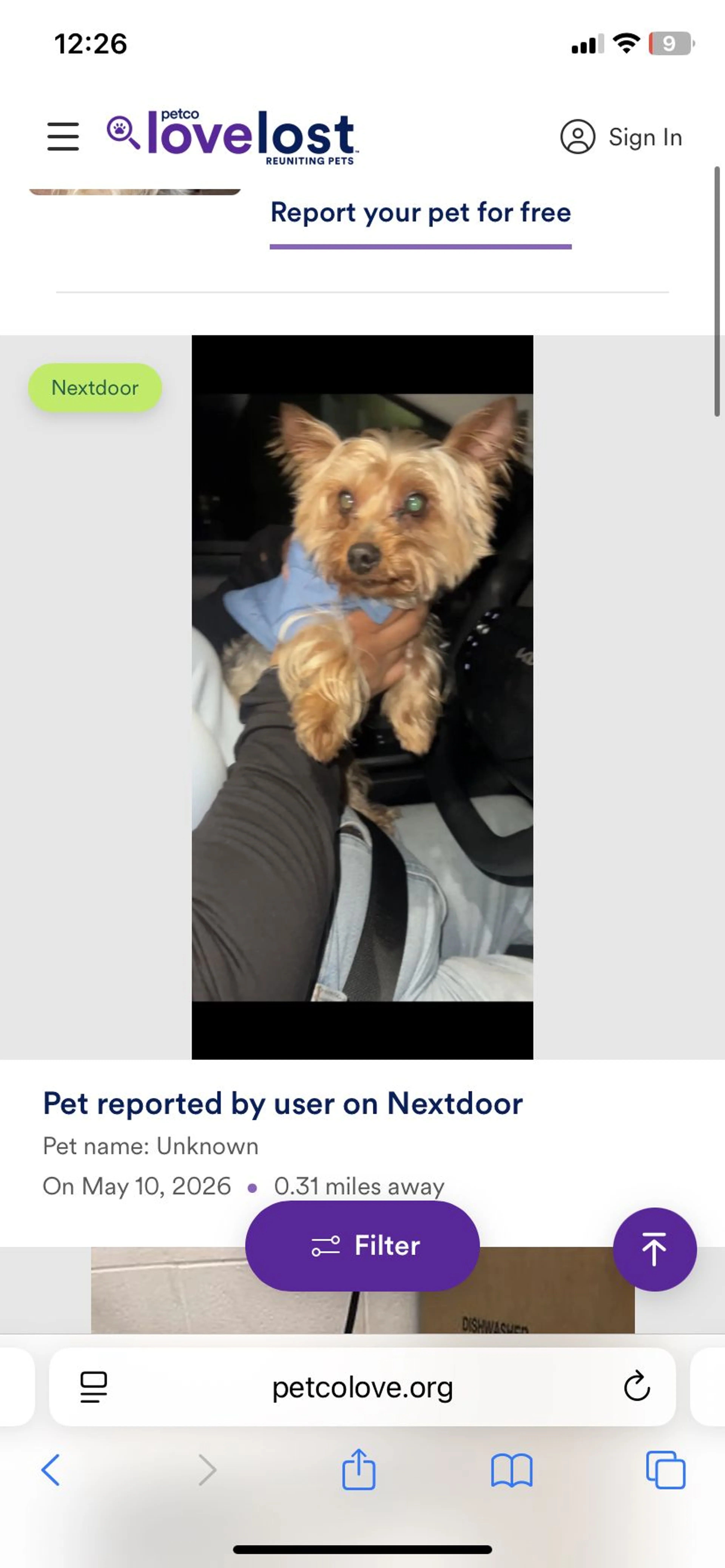 Lost pet-0