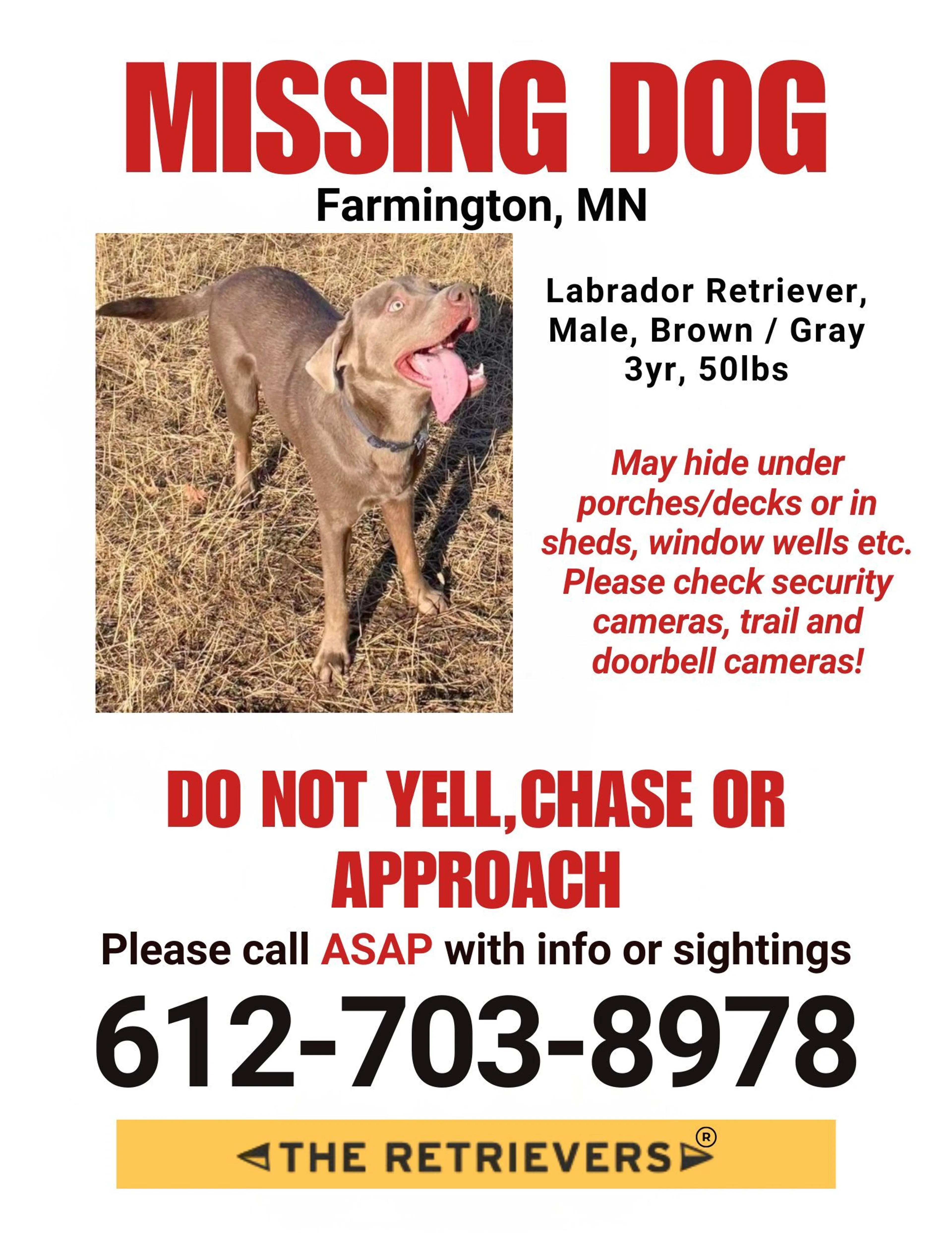 Lost pet