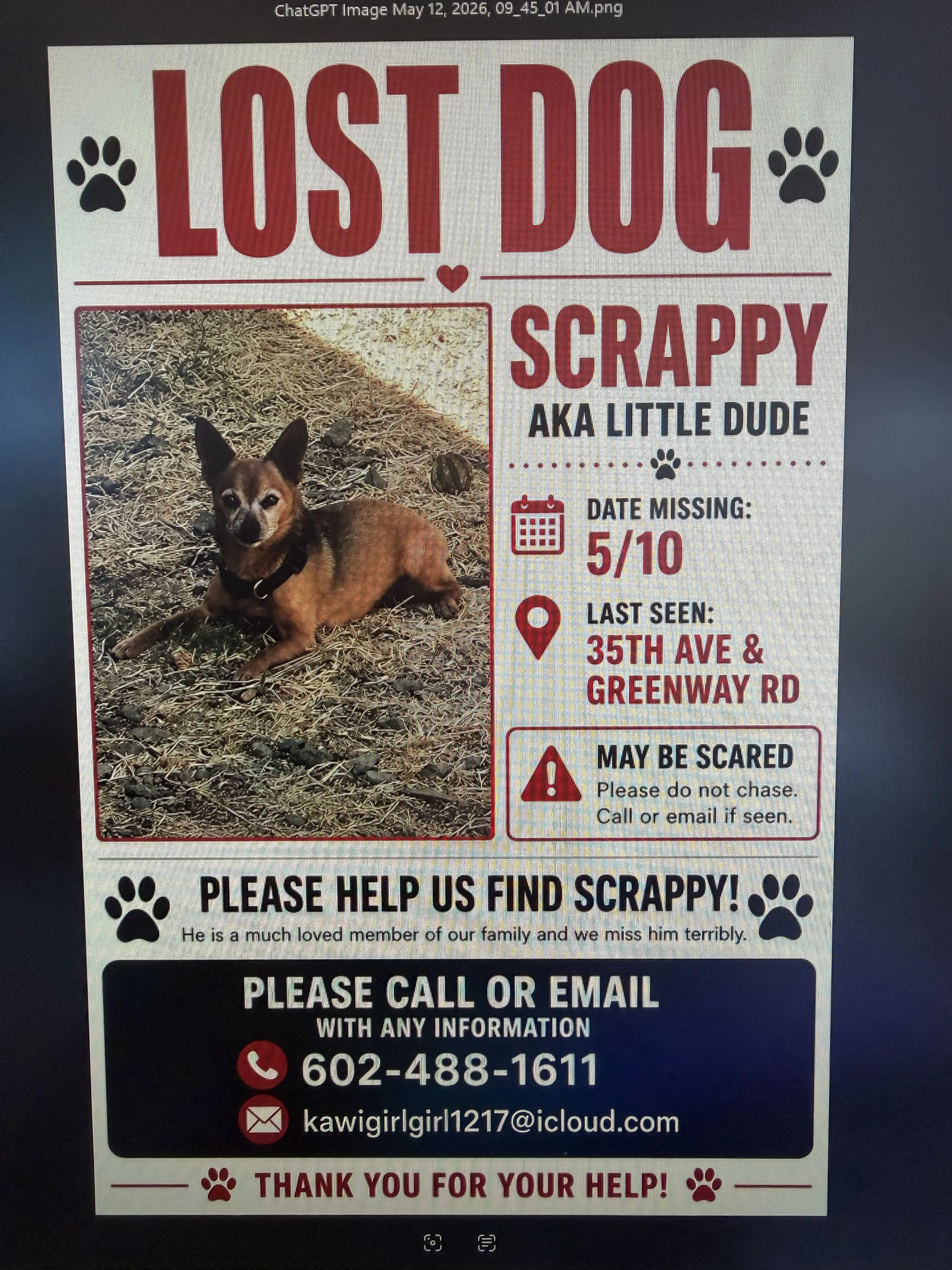 Lost pet