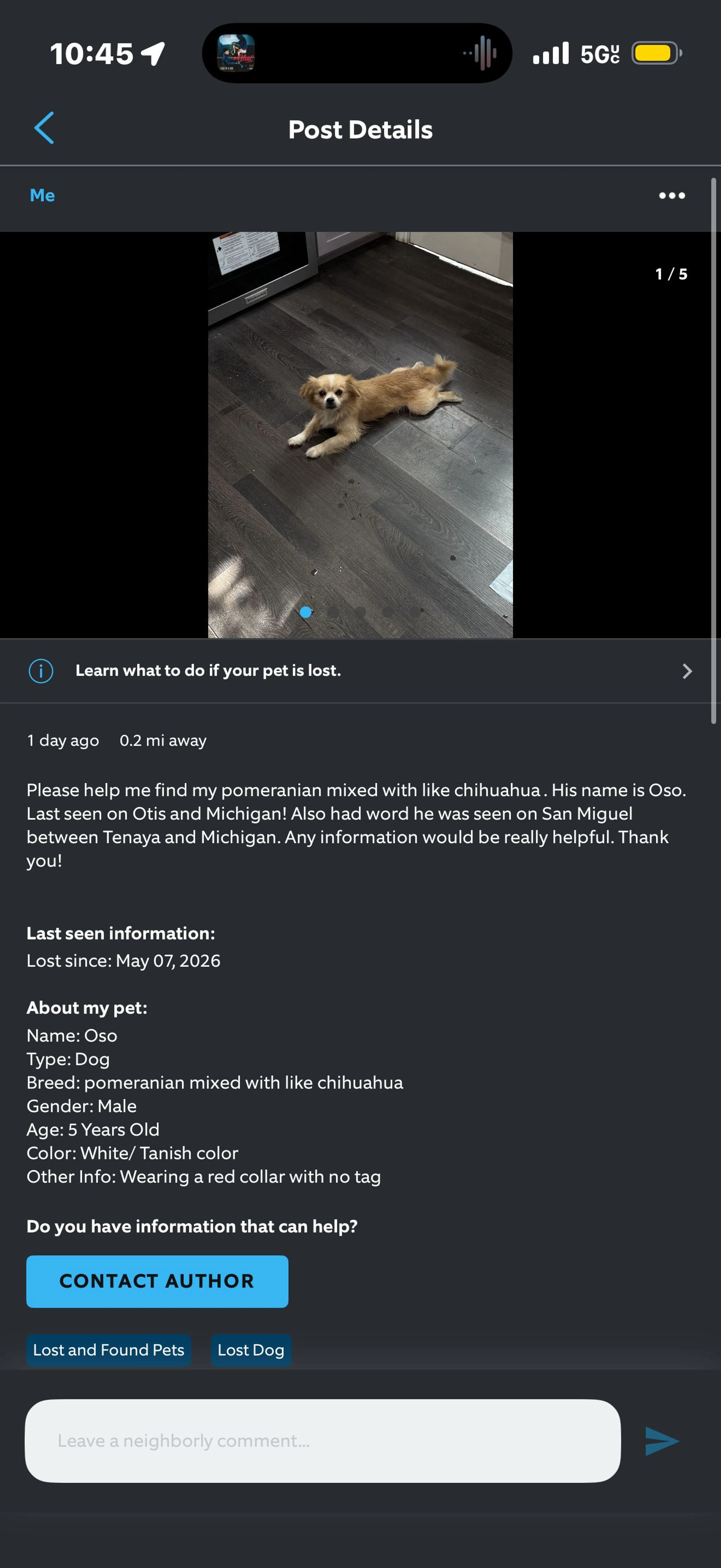 Lost pet