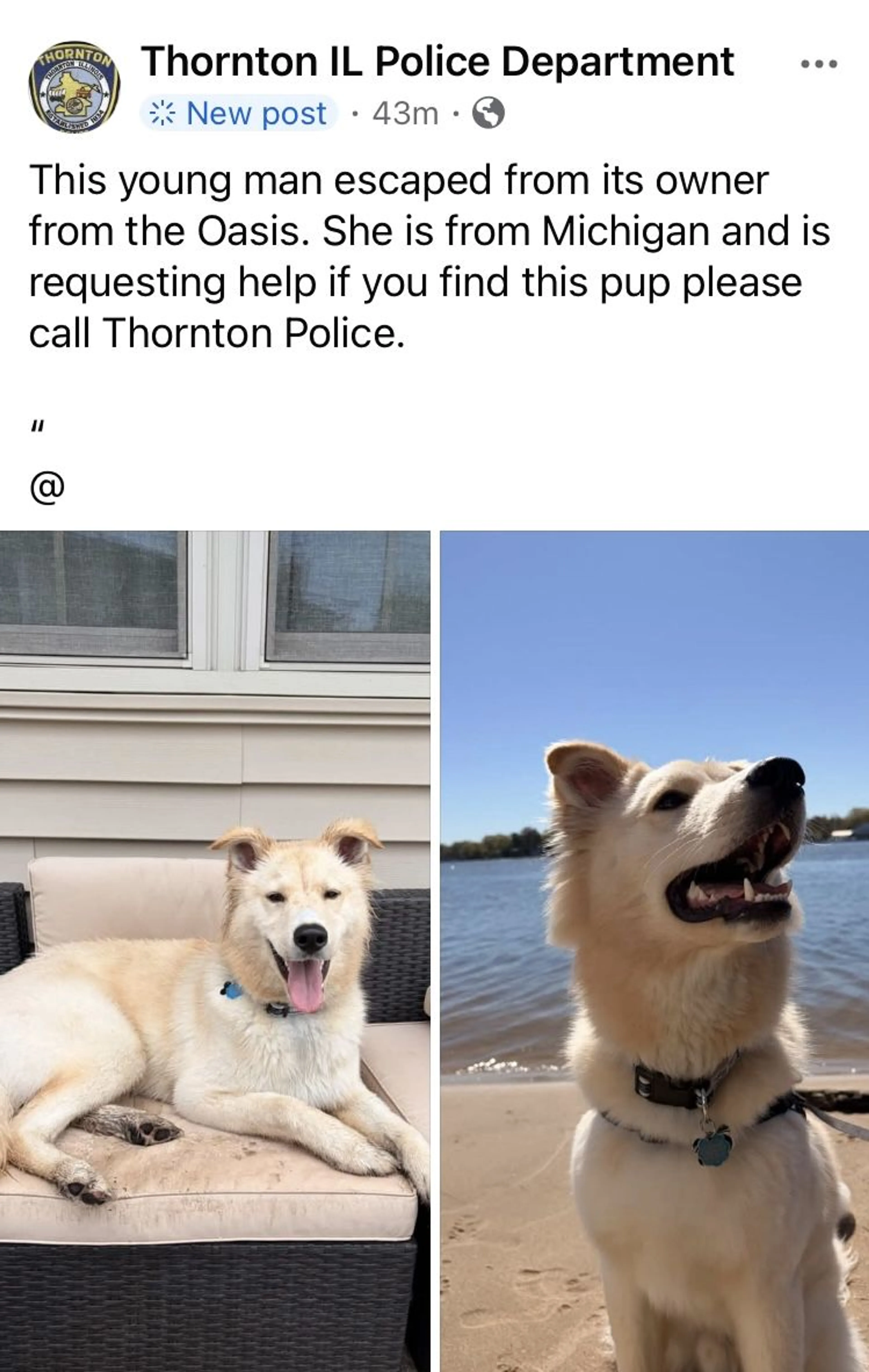 cdn image