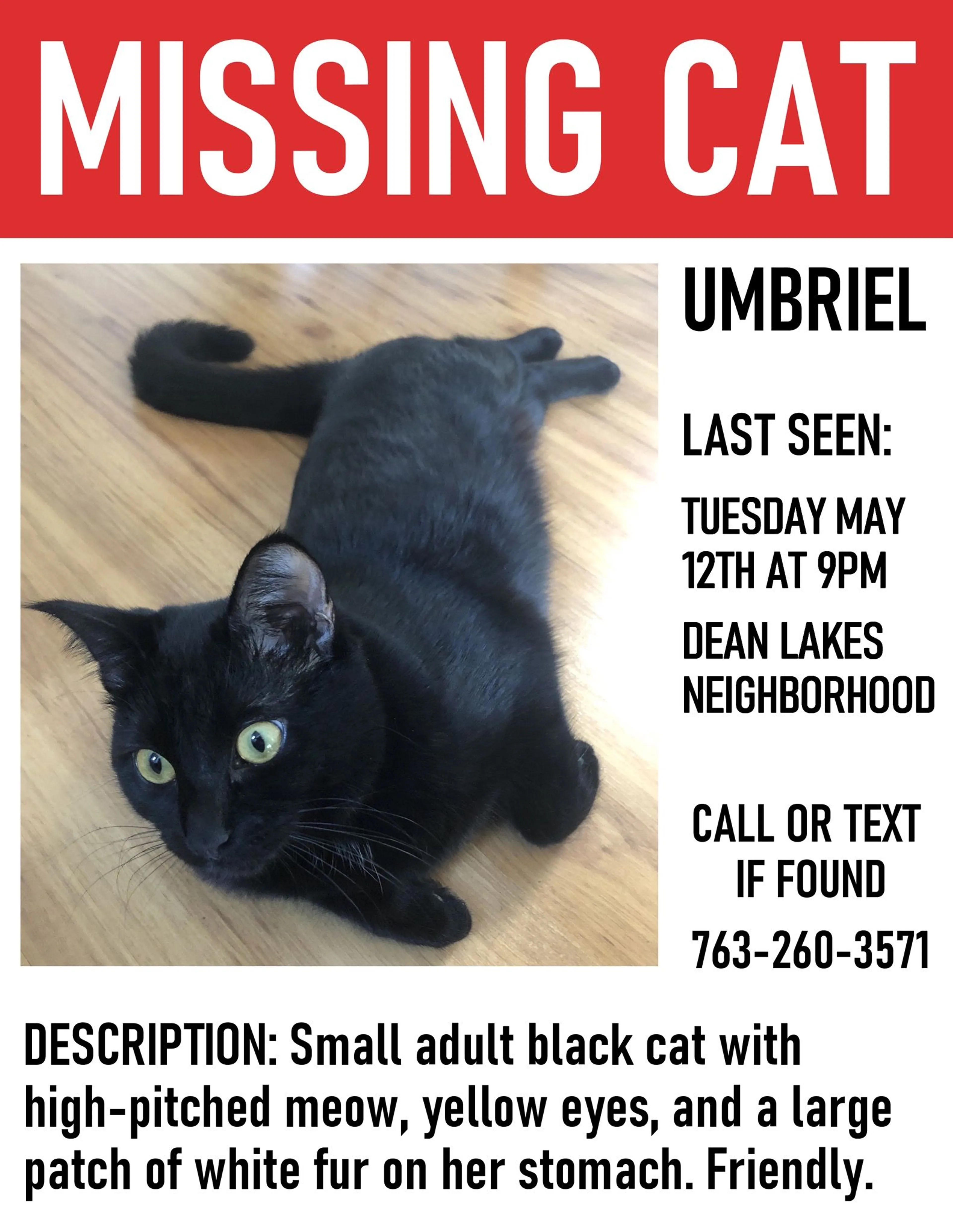 Lost pet