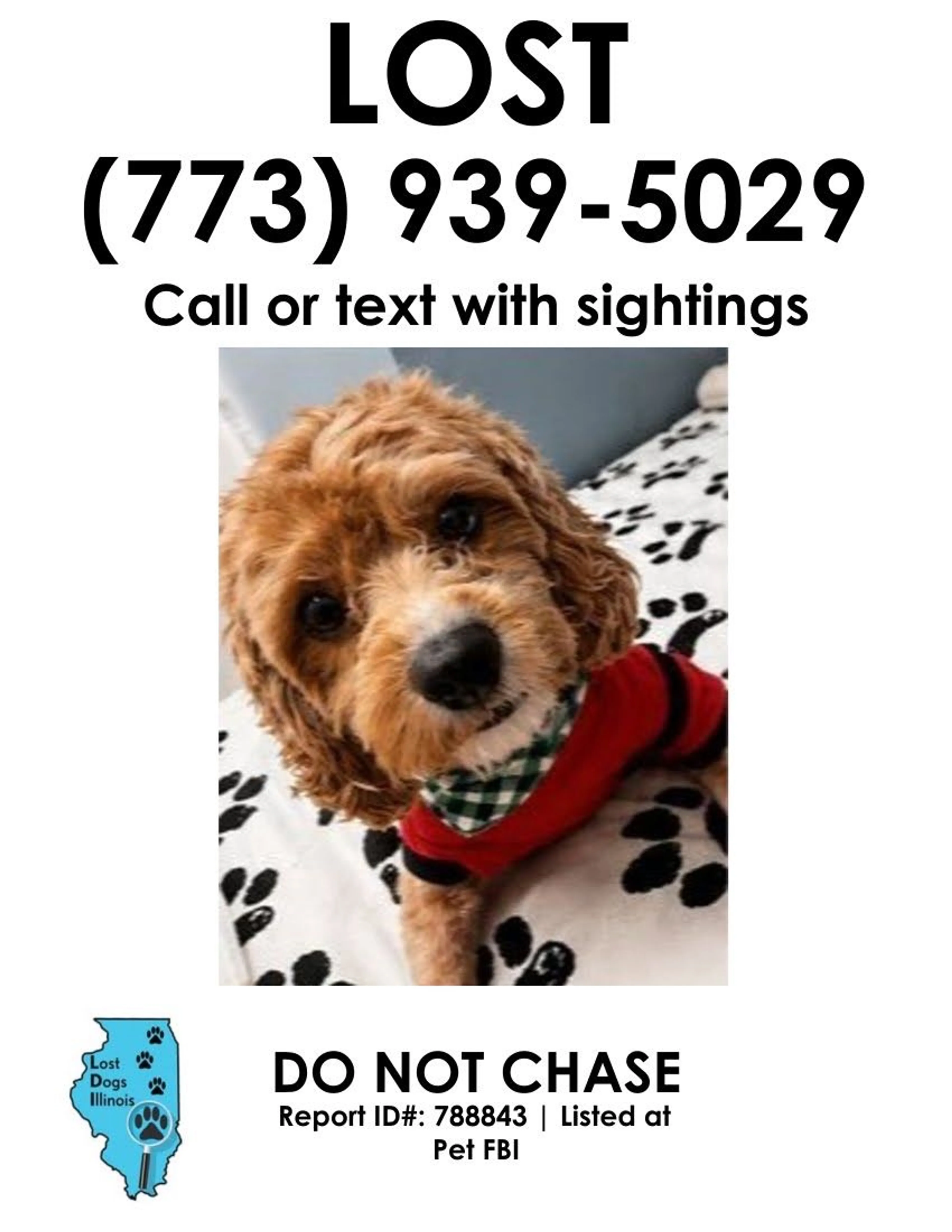 Lost pet
