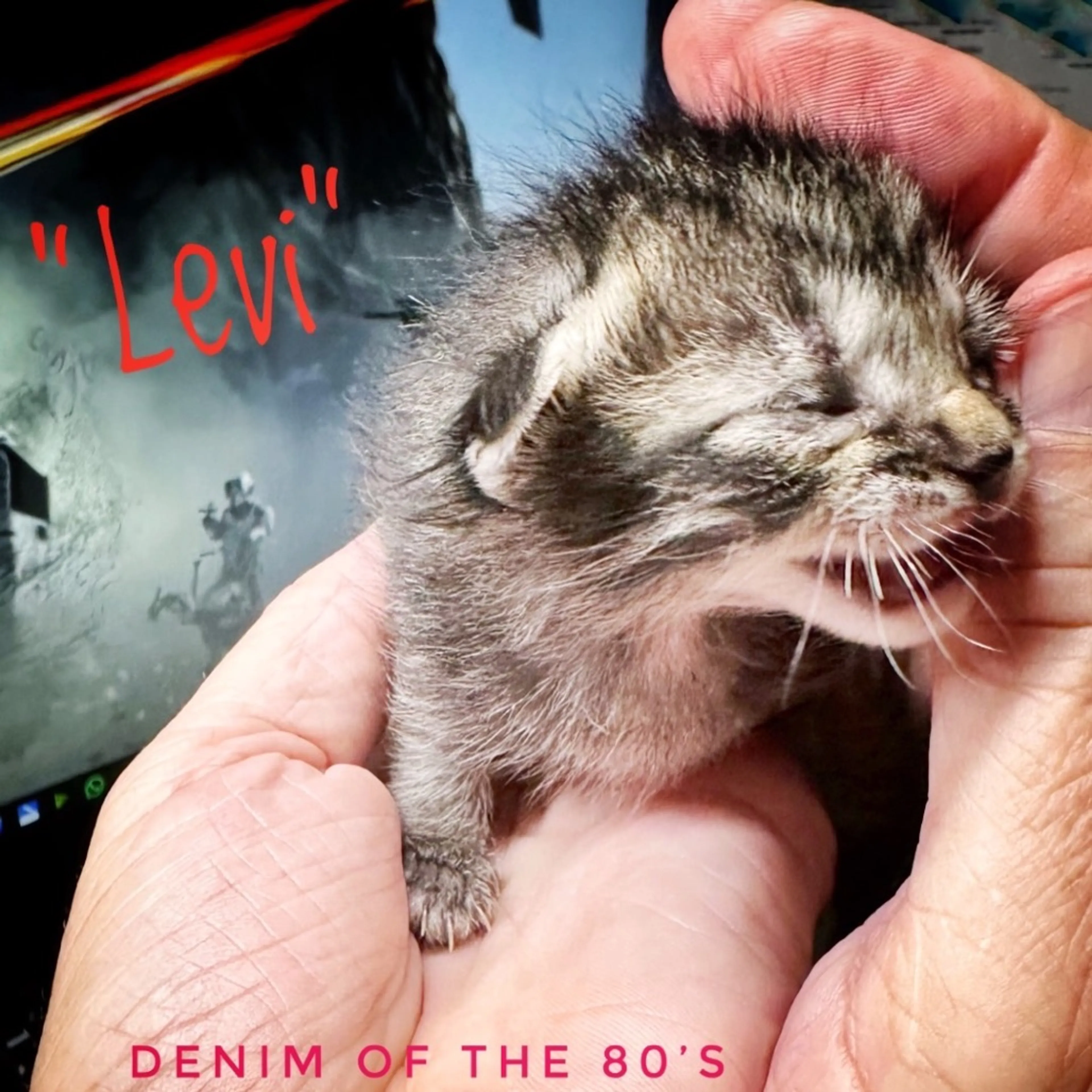 Found pet-0