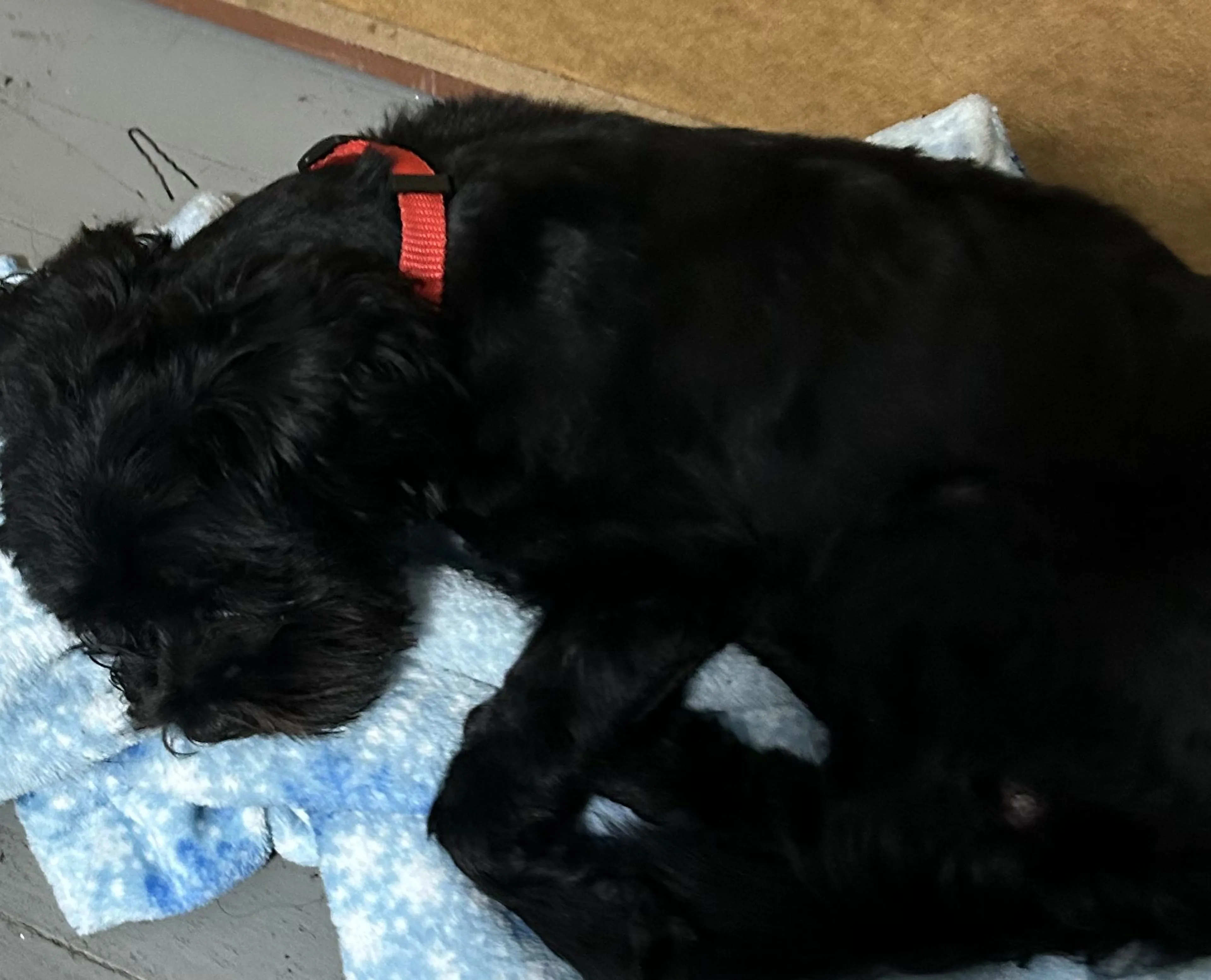 -2