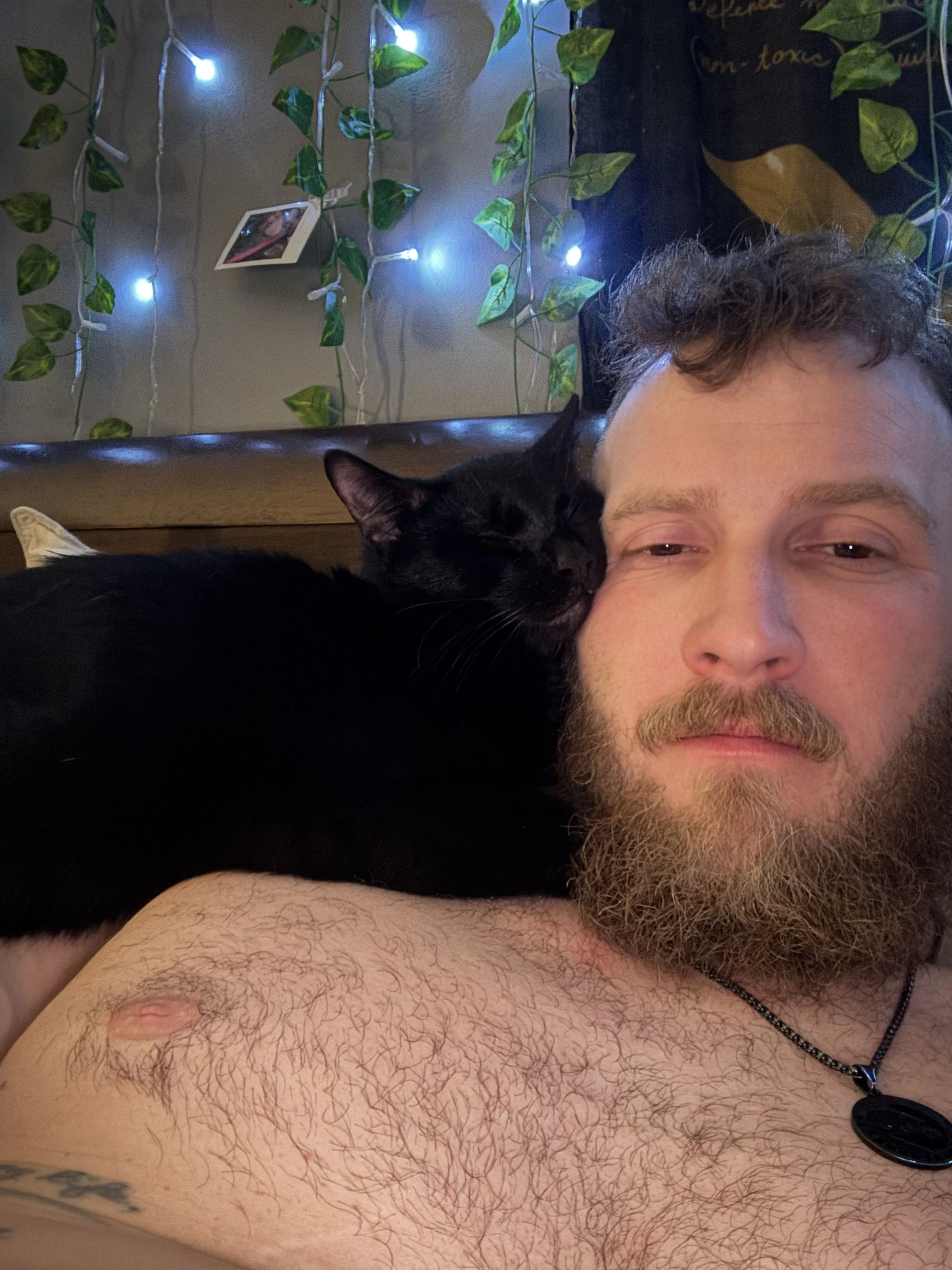 Lost pet-4