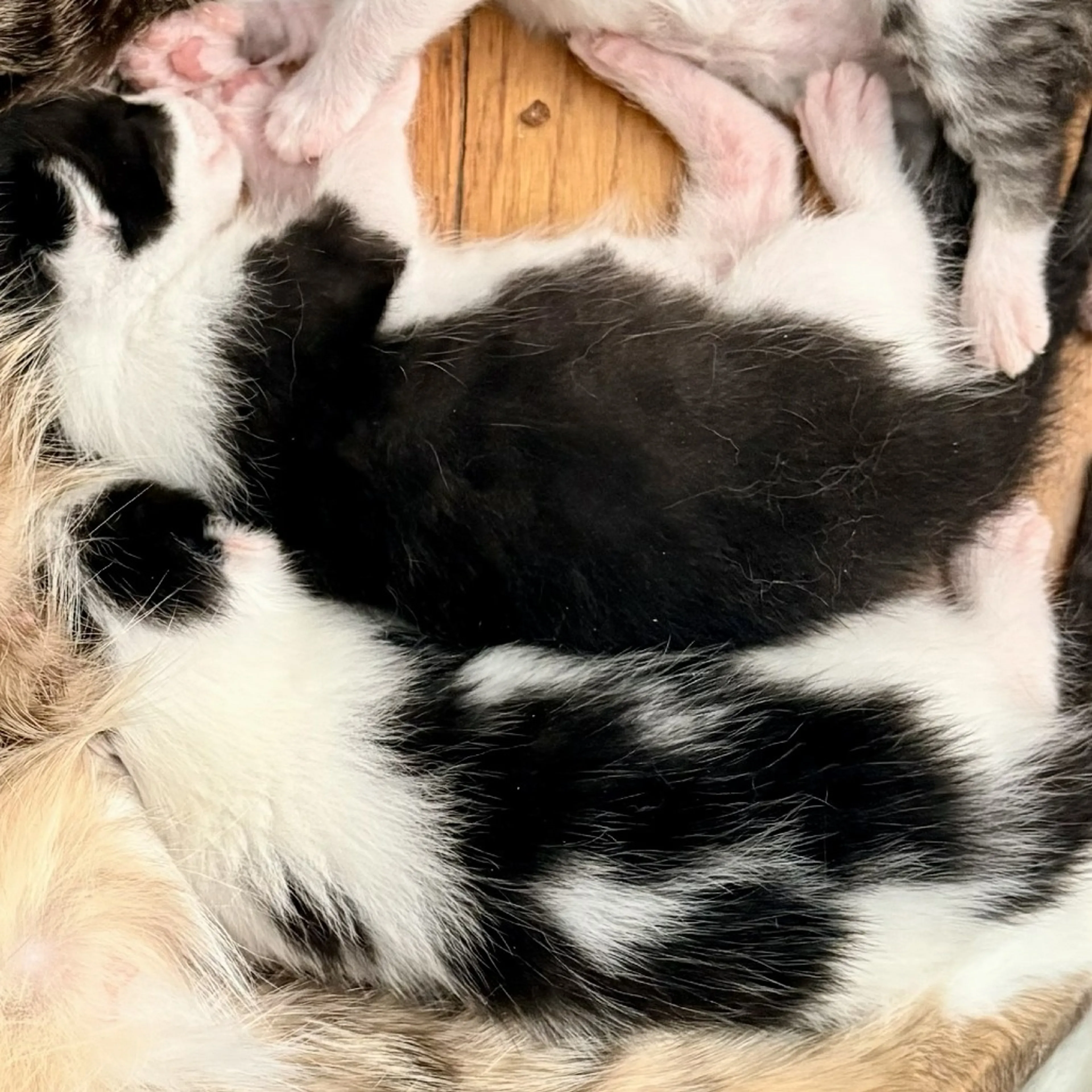 -2
