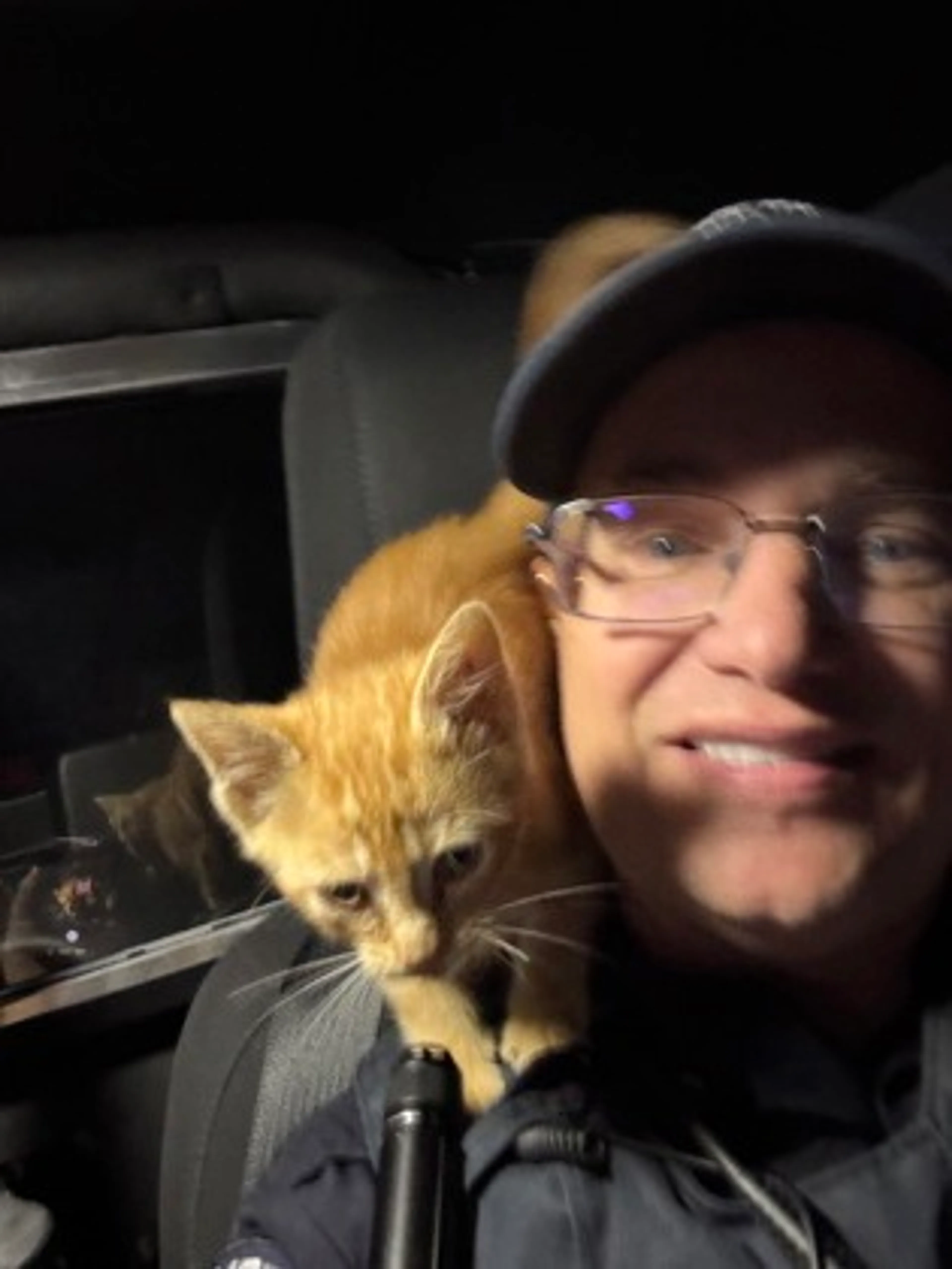 Found pet-1