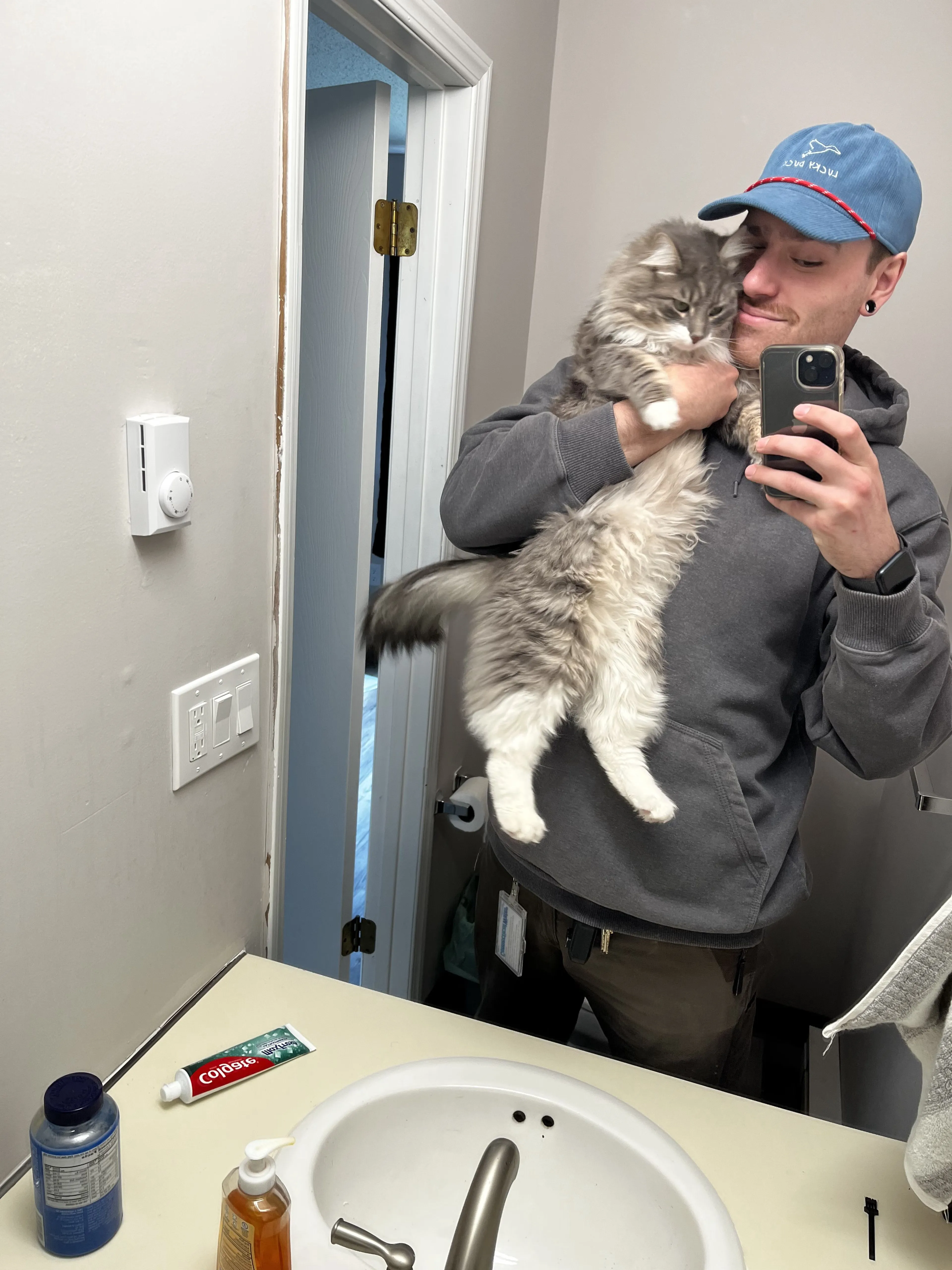 Lost pet-2