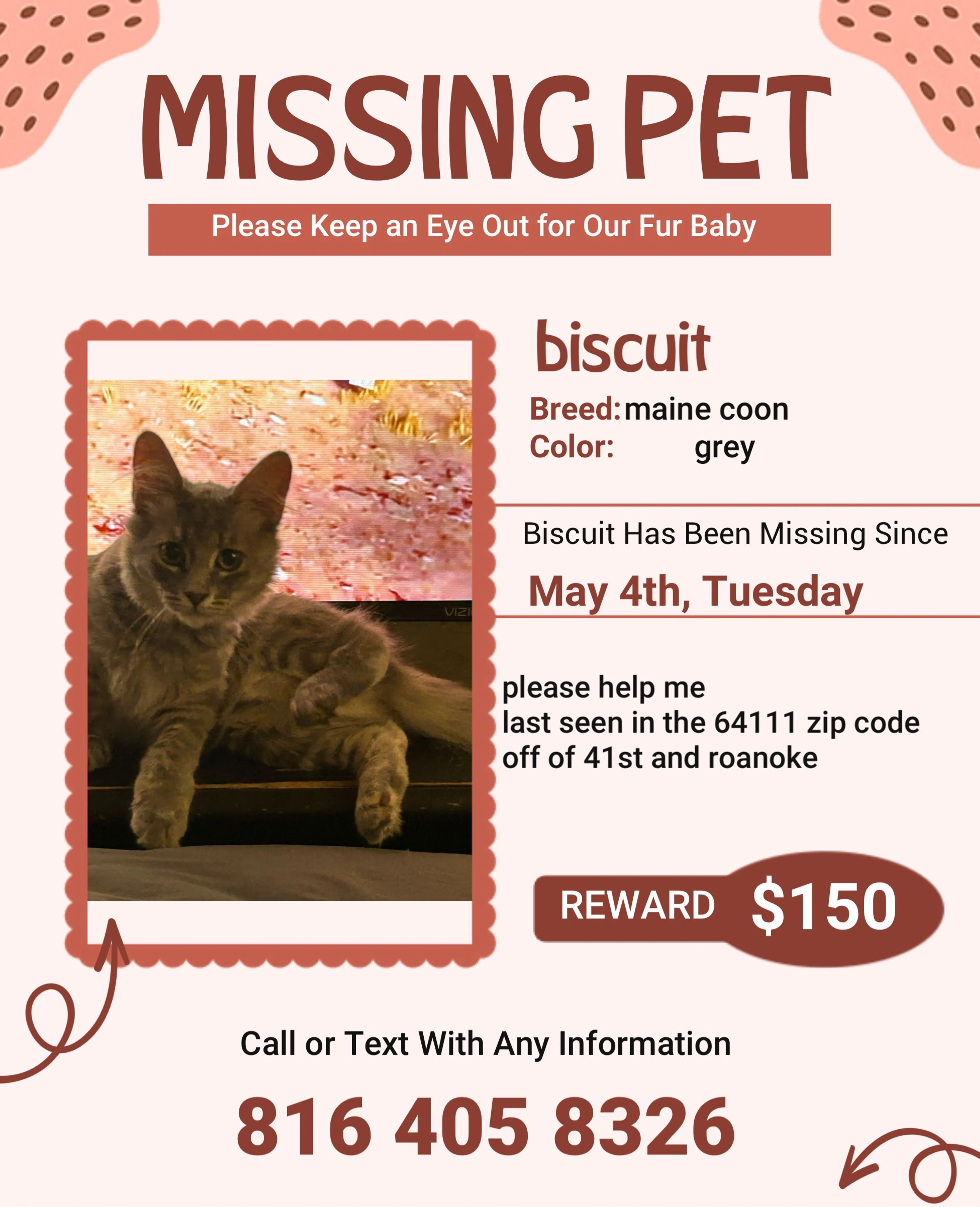 Lost pet-1