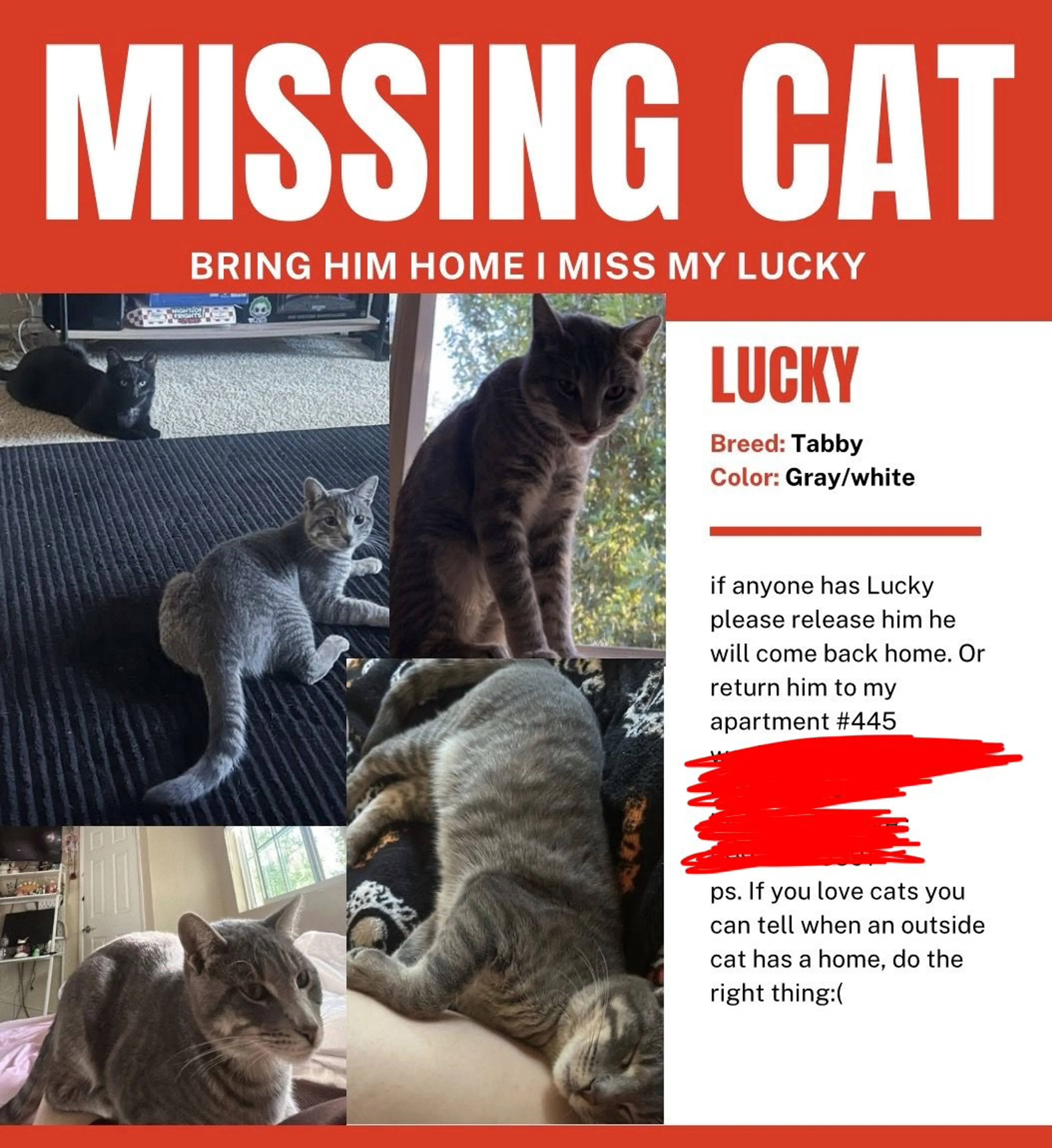 Lost pet