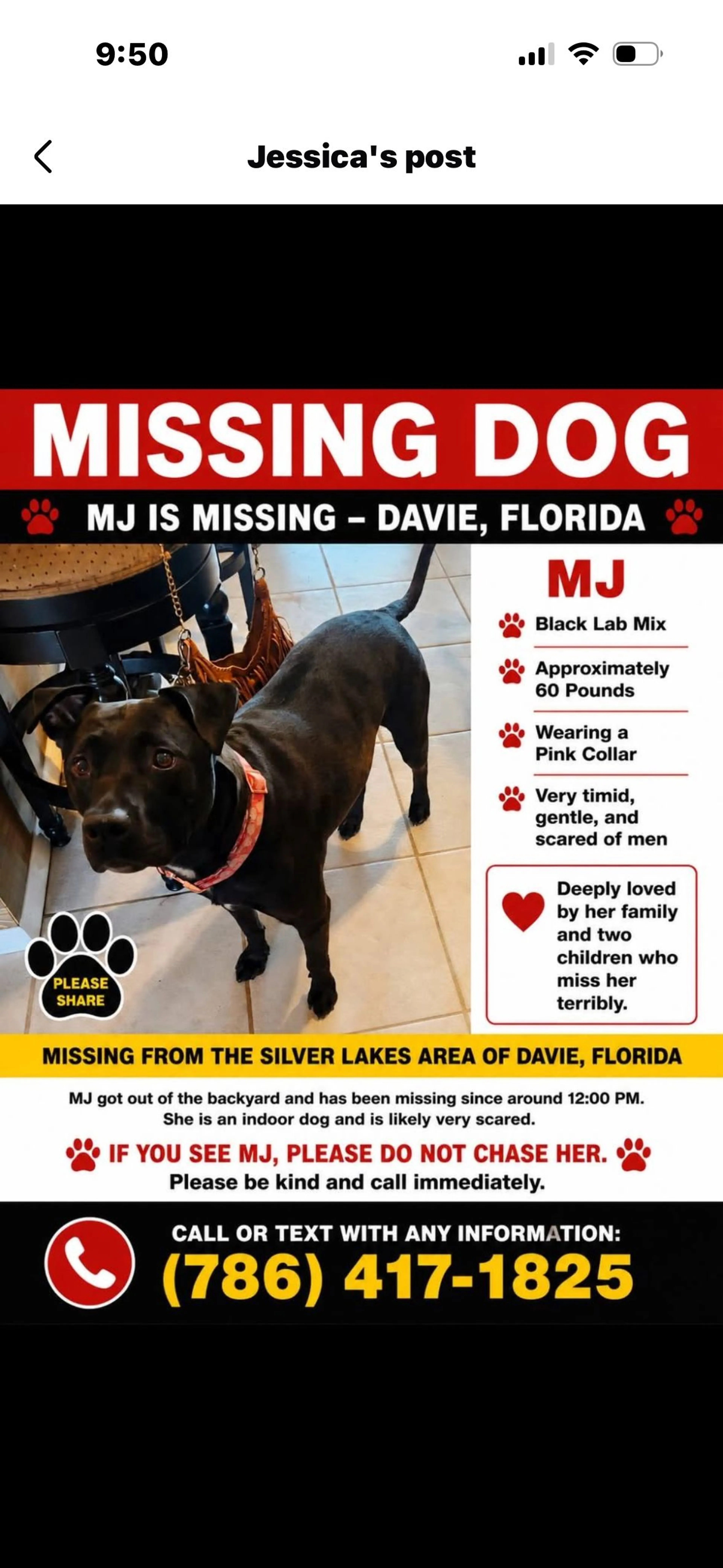 Lost pet