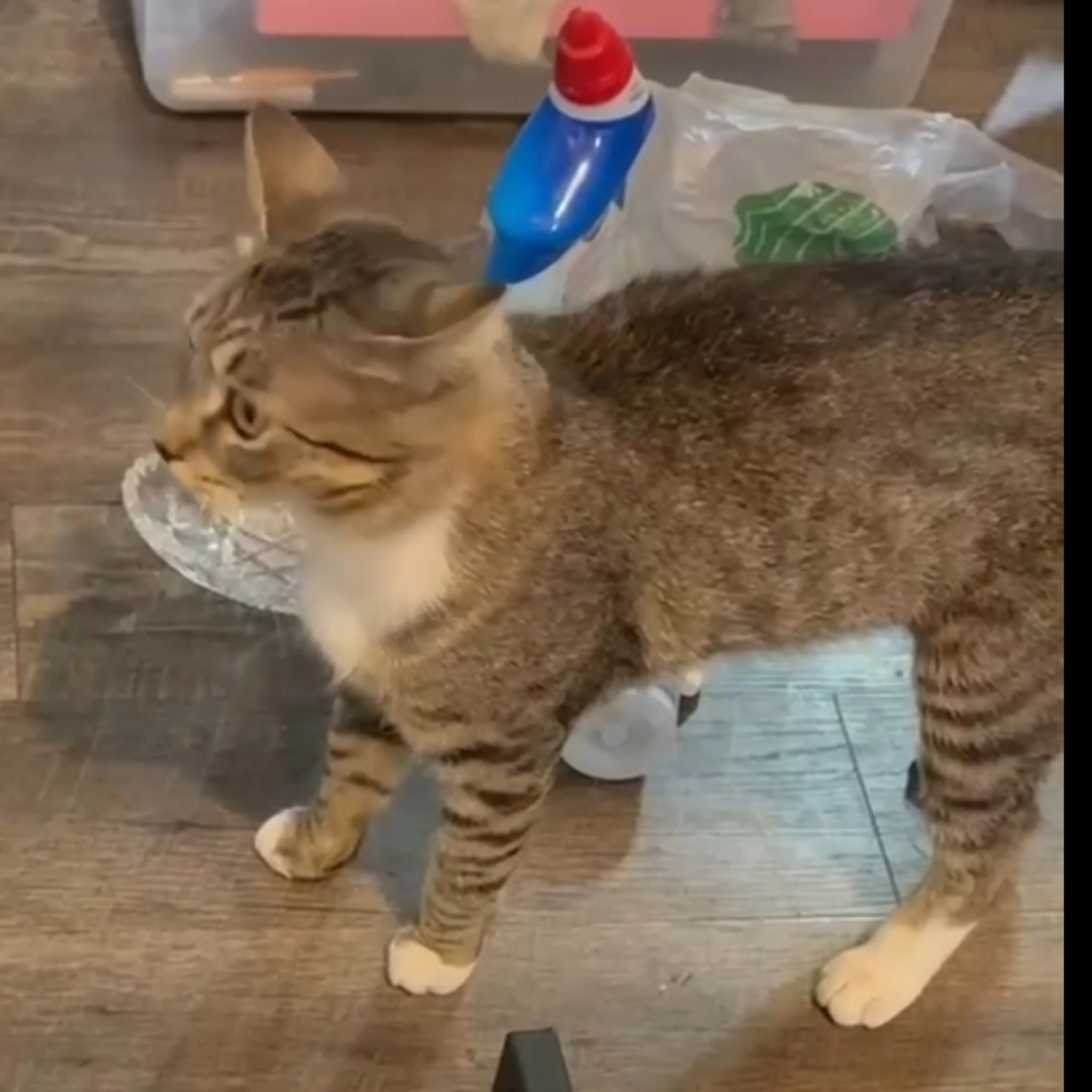 -1