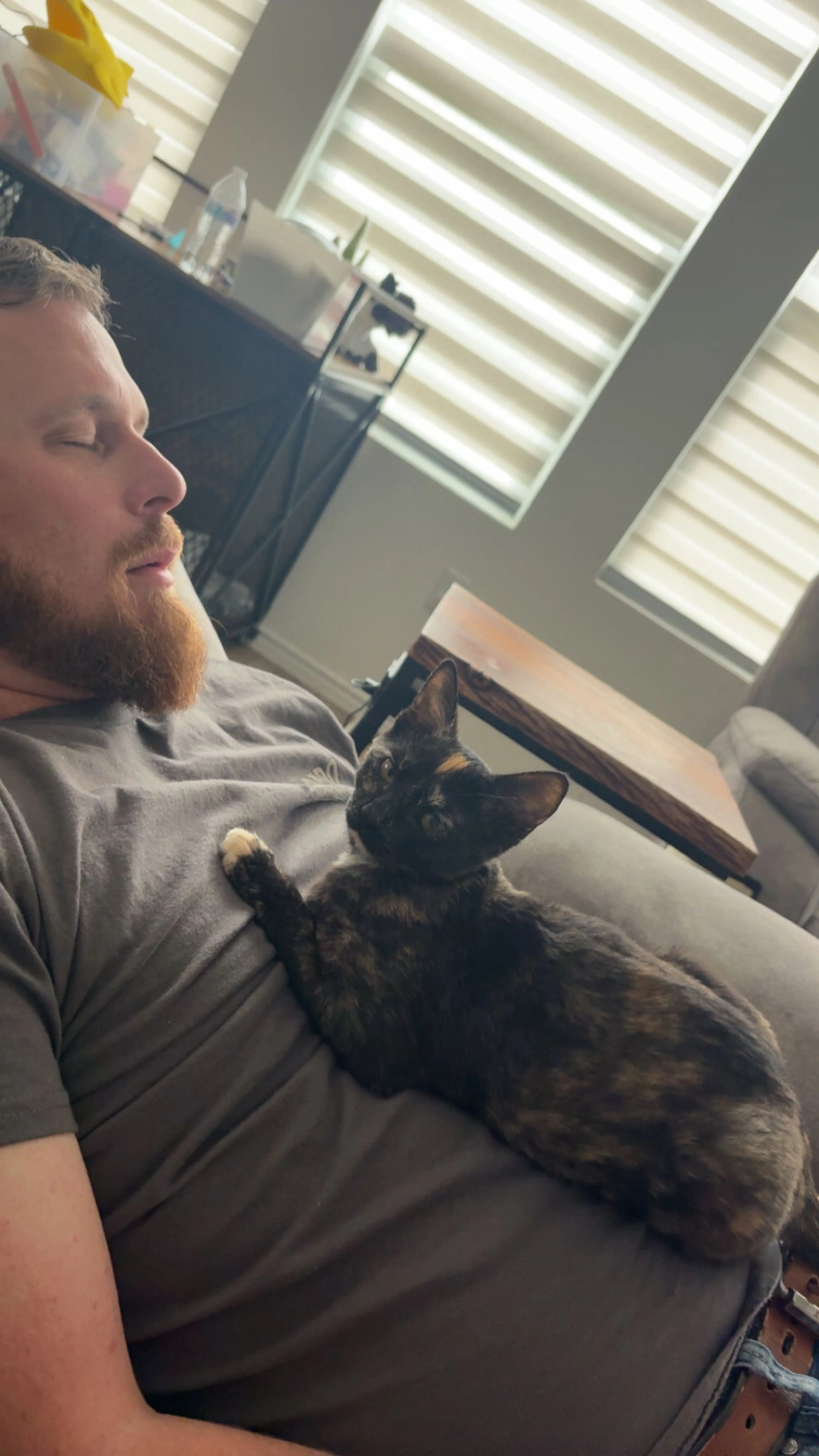 Lost pet-0
