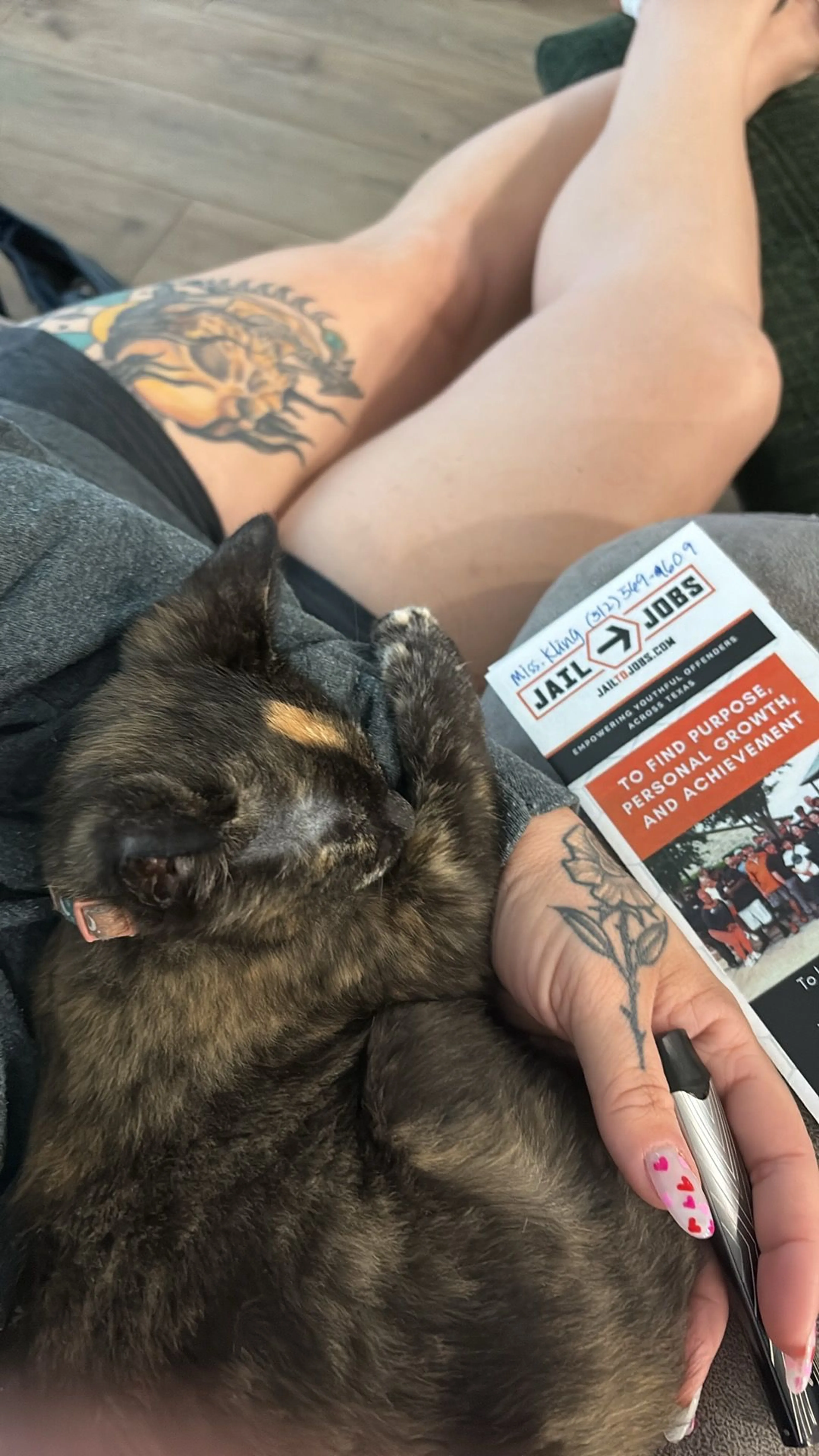 Lost pet-4