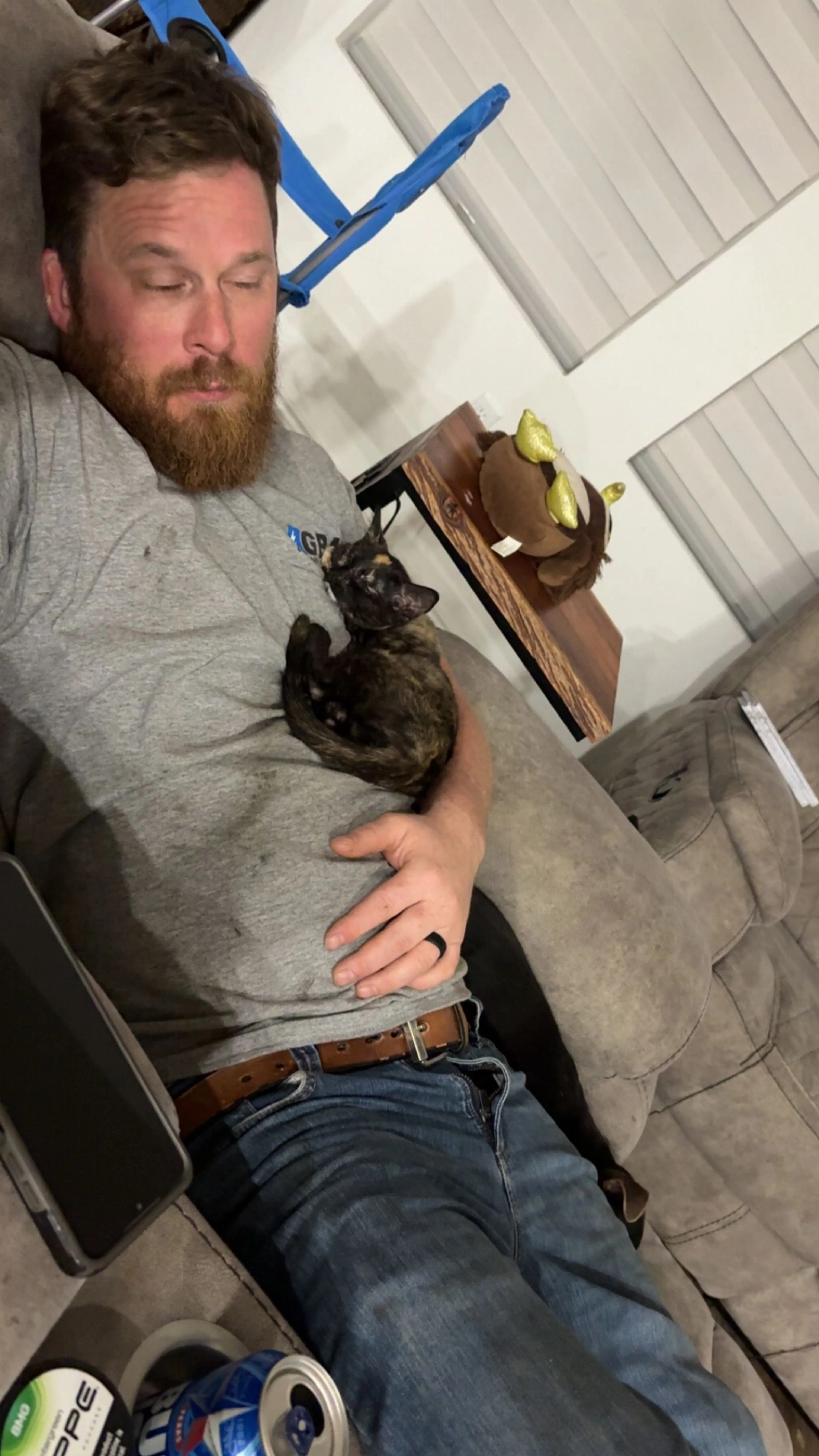 Lost pet-3