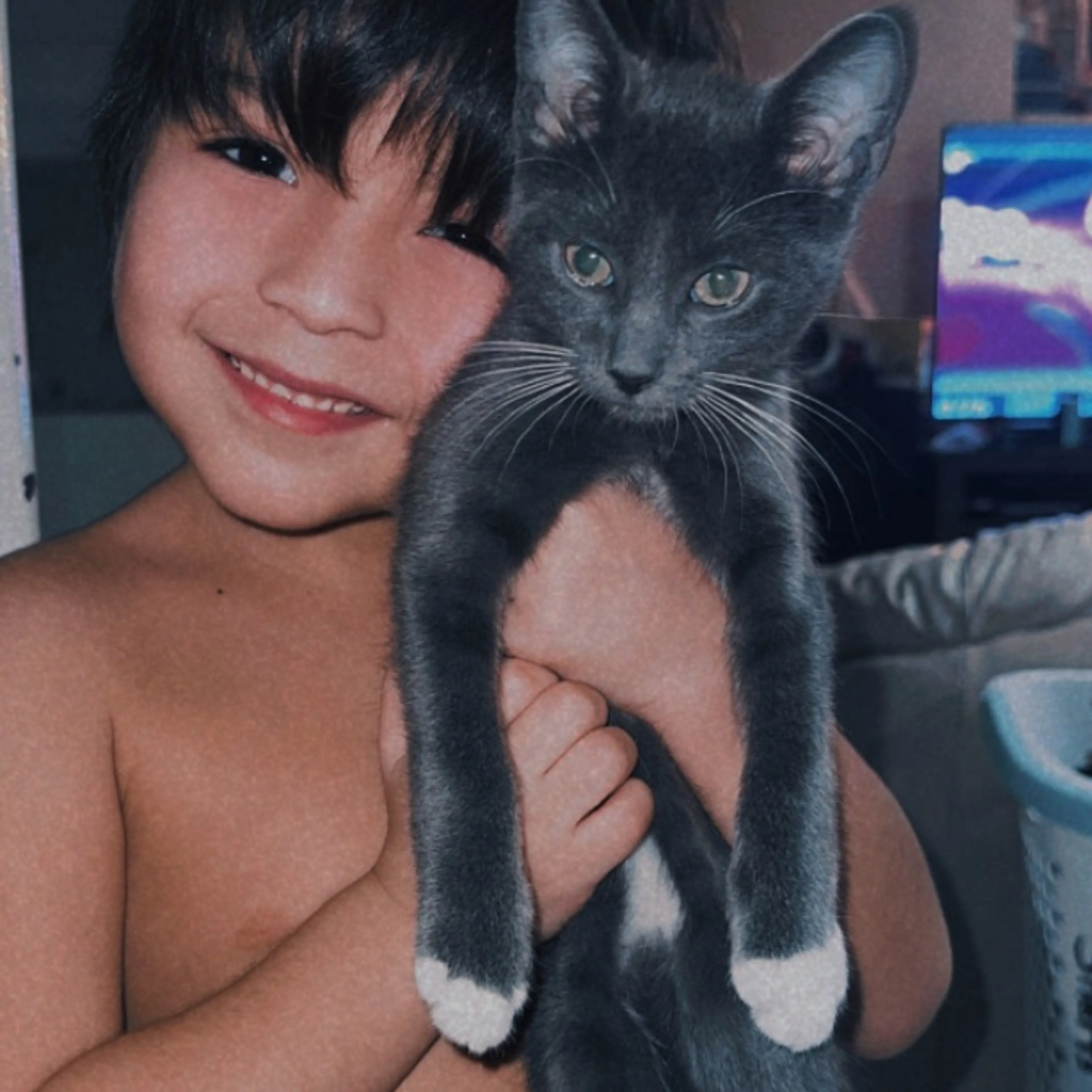 Lost pet