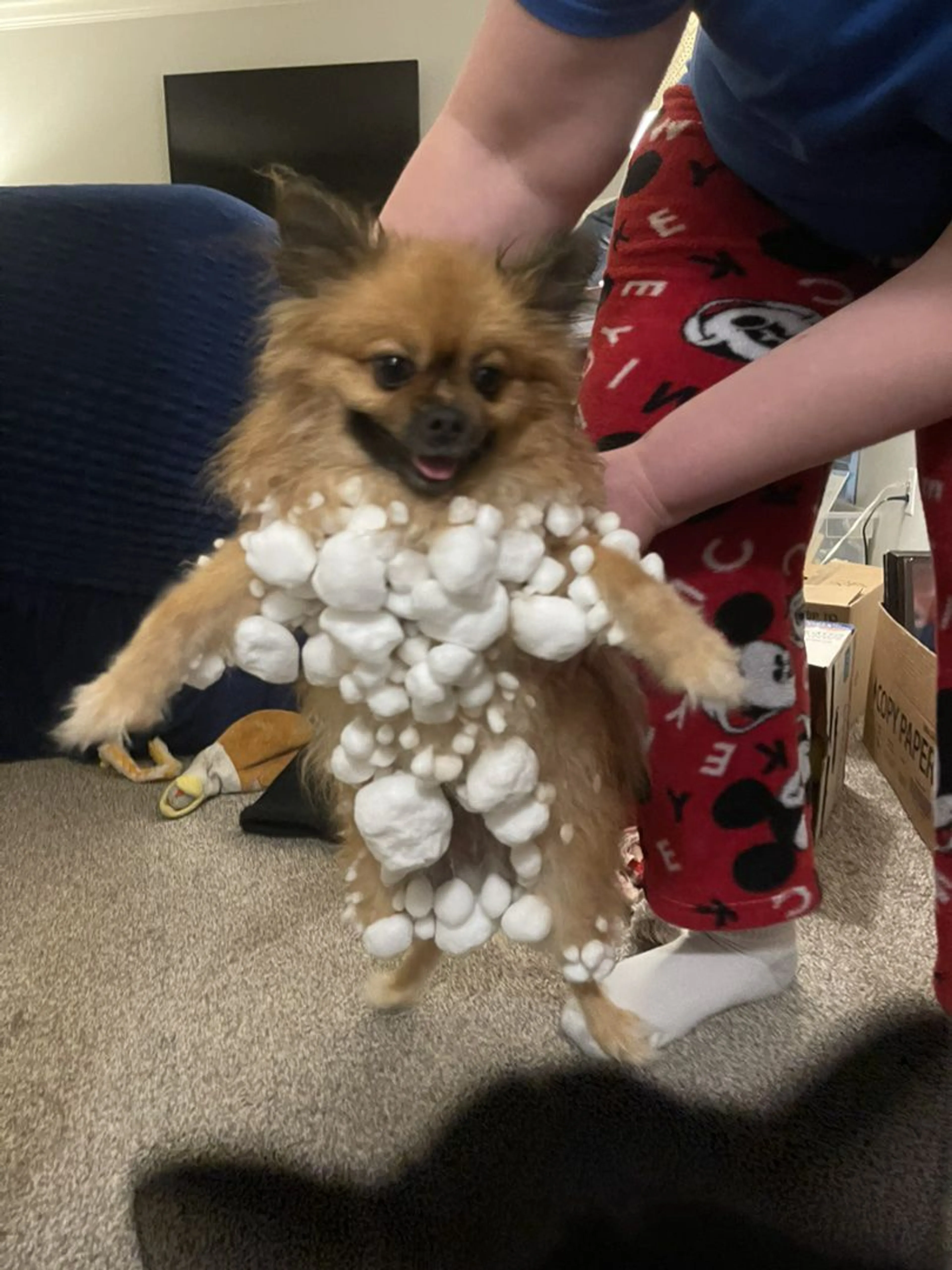 -3