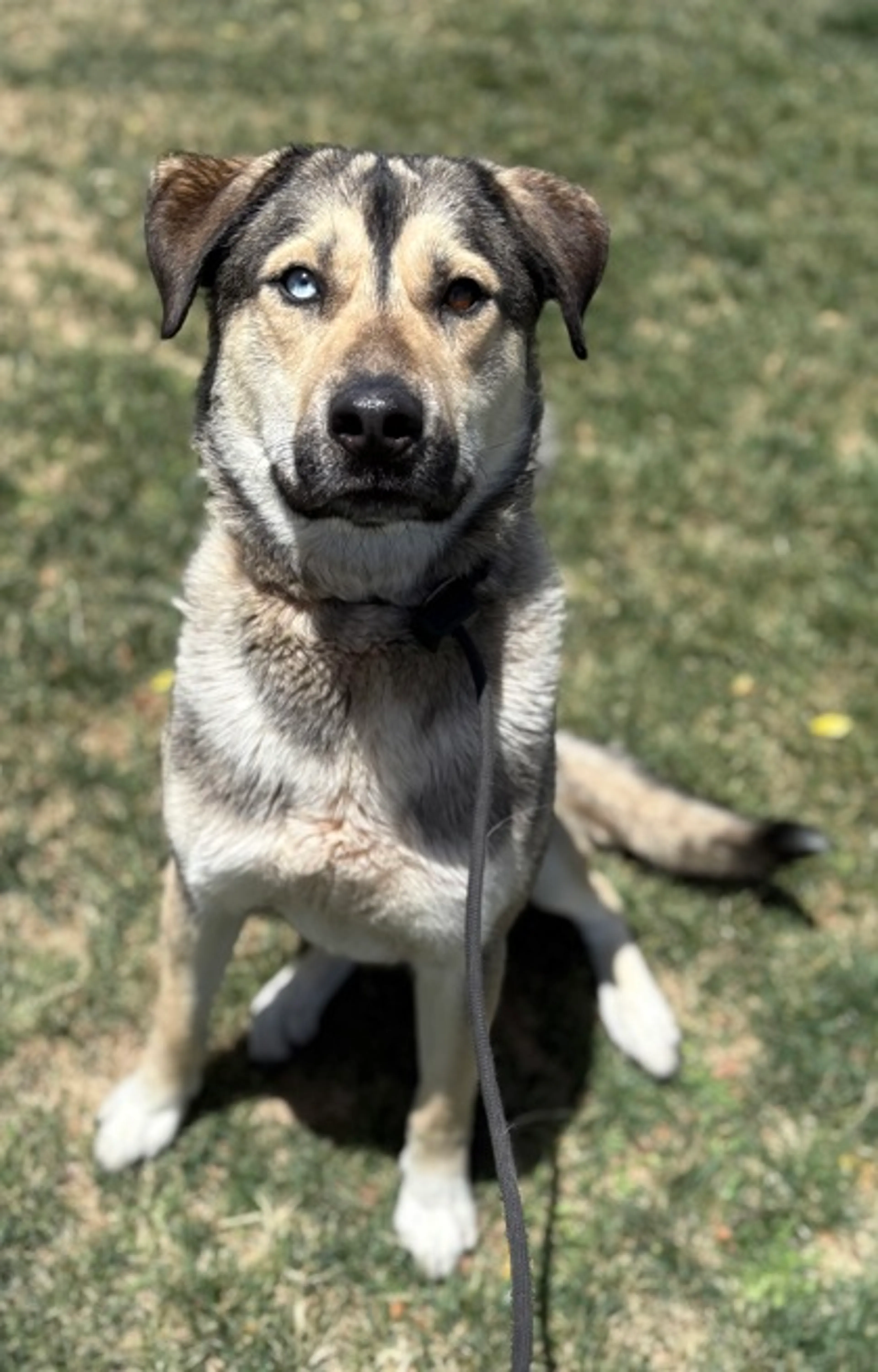 -1