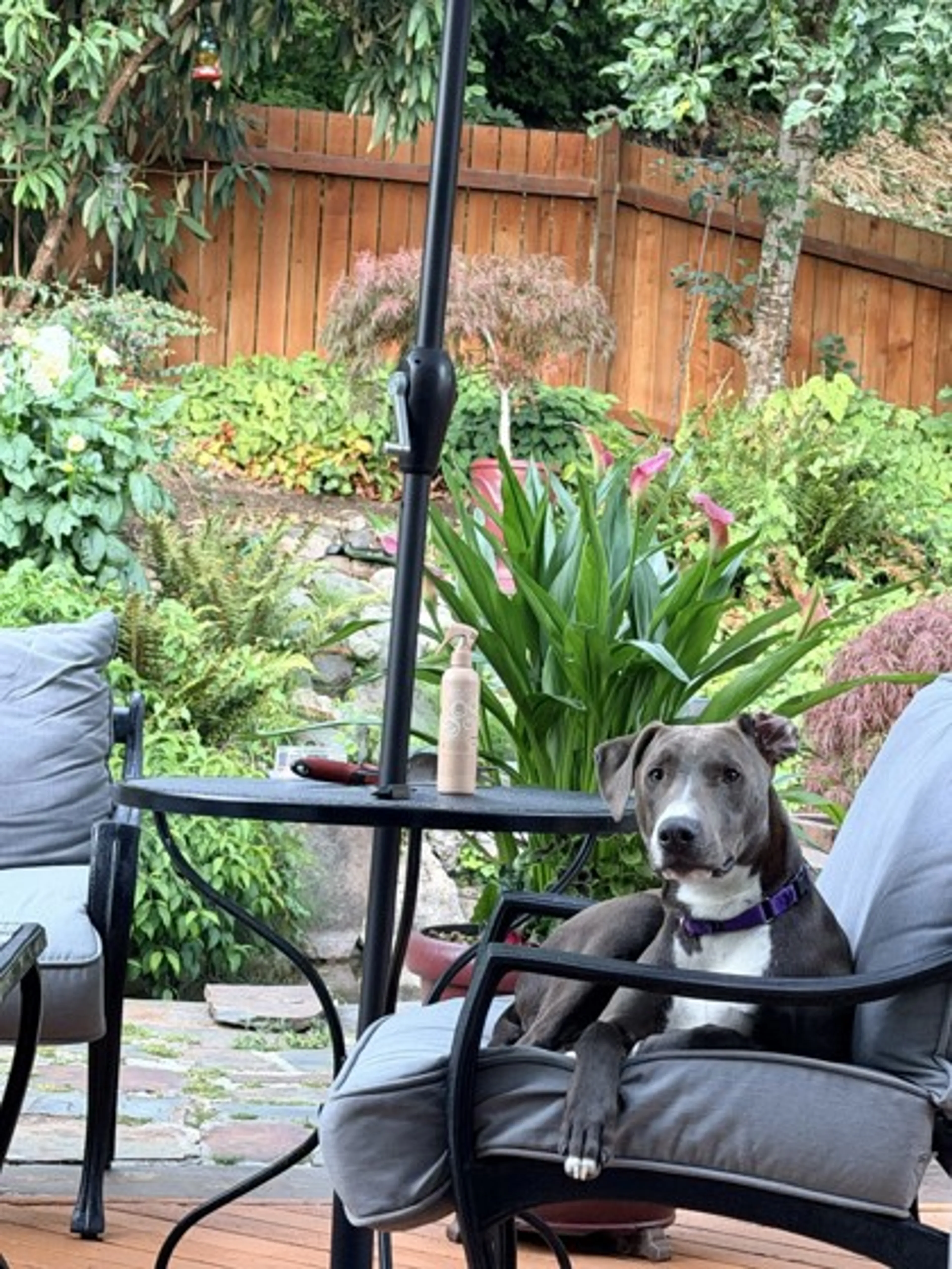 -1