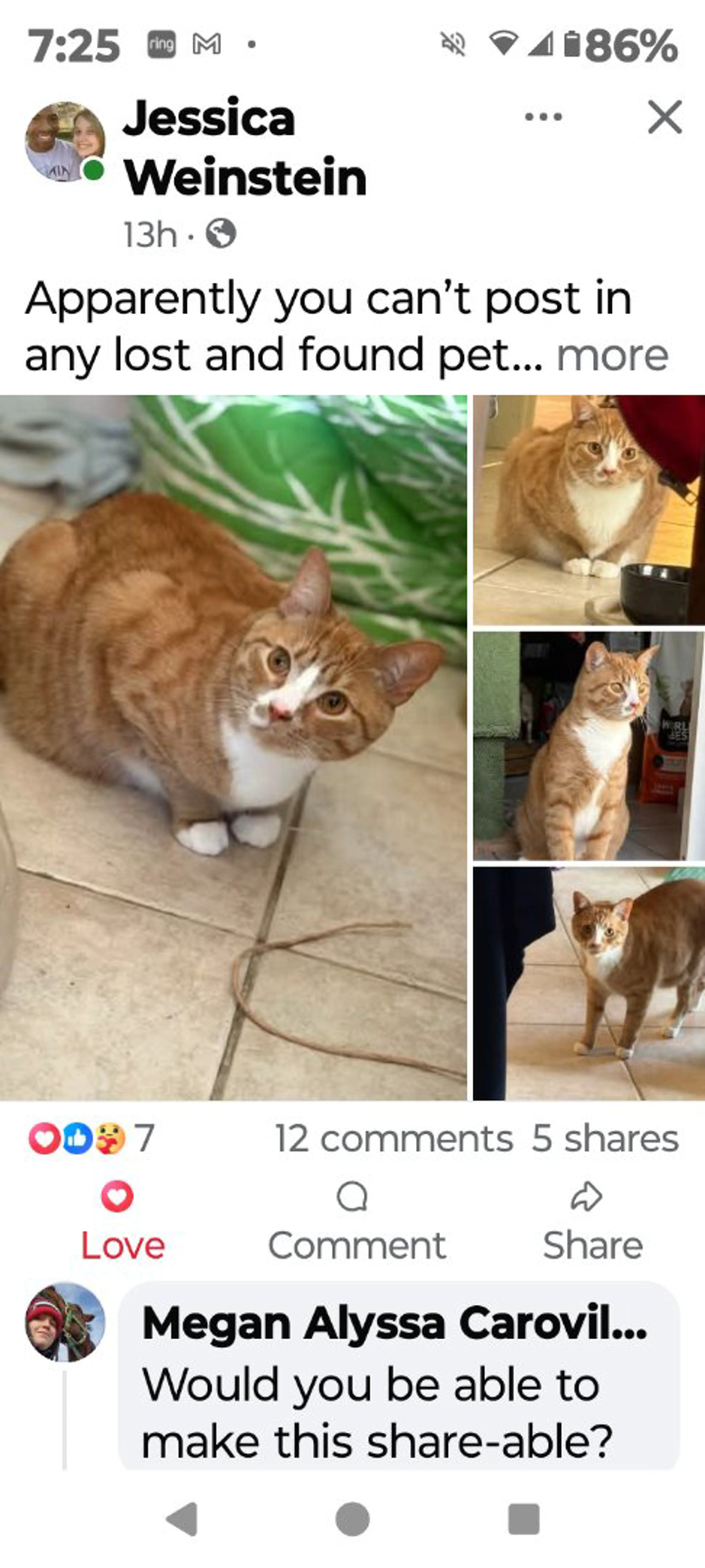 Lost pet