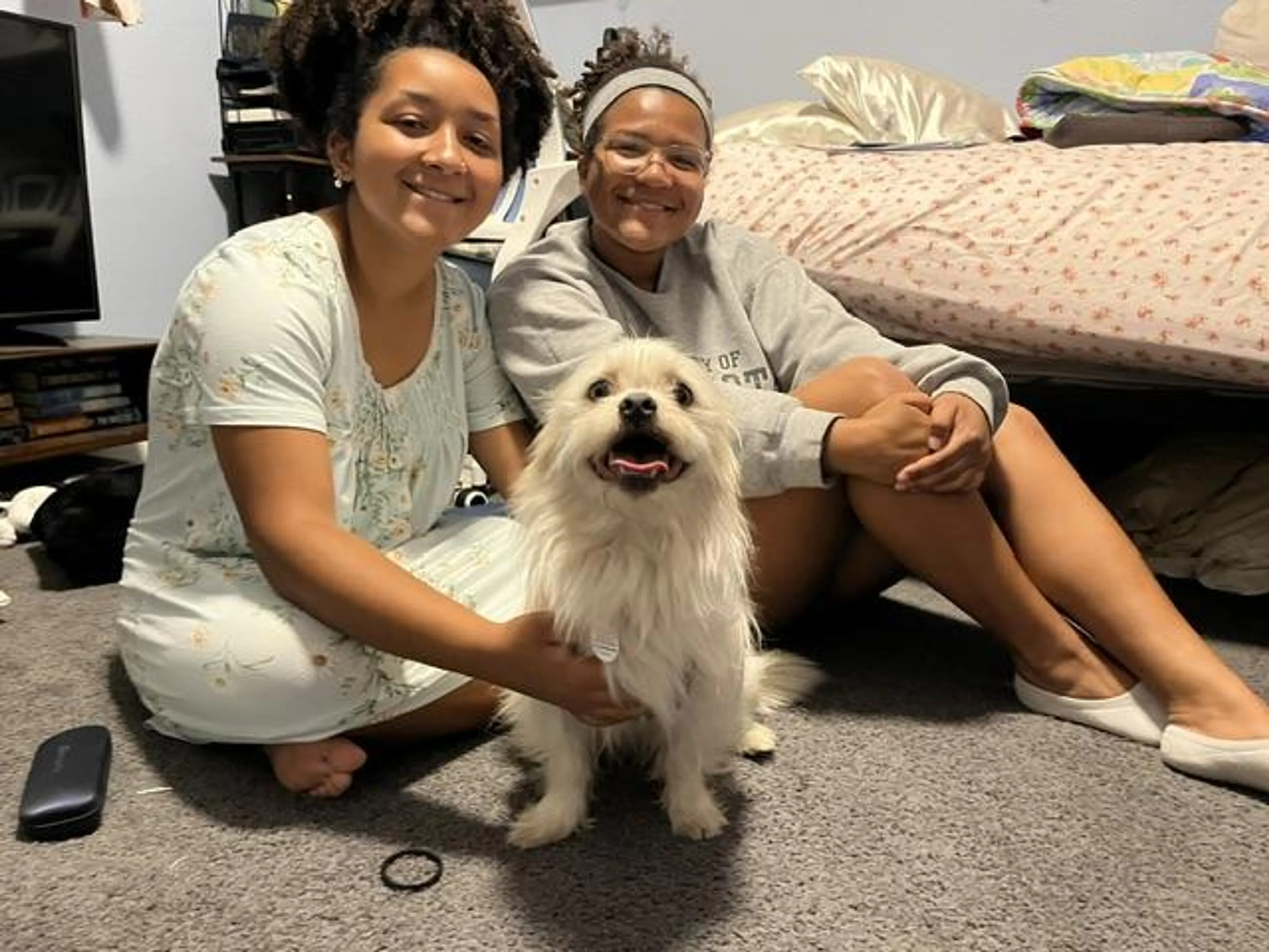 Found pet-1