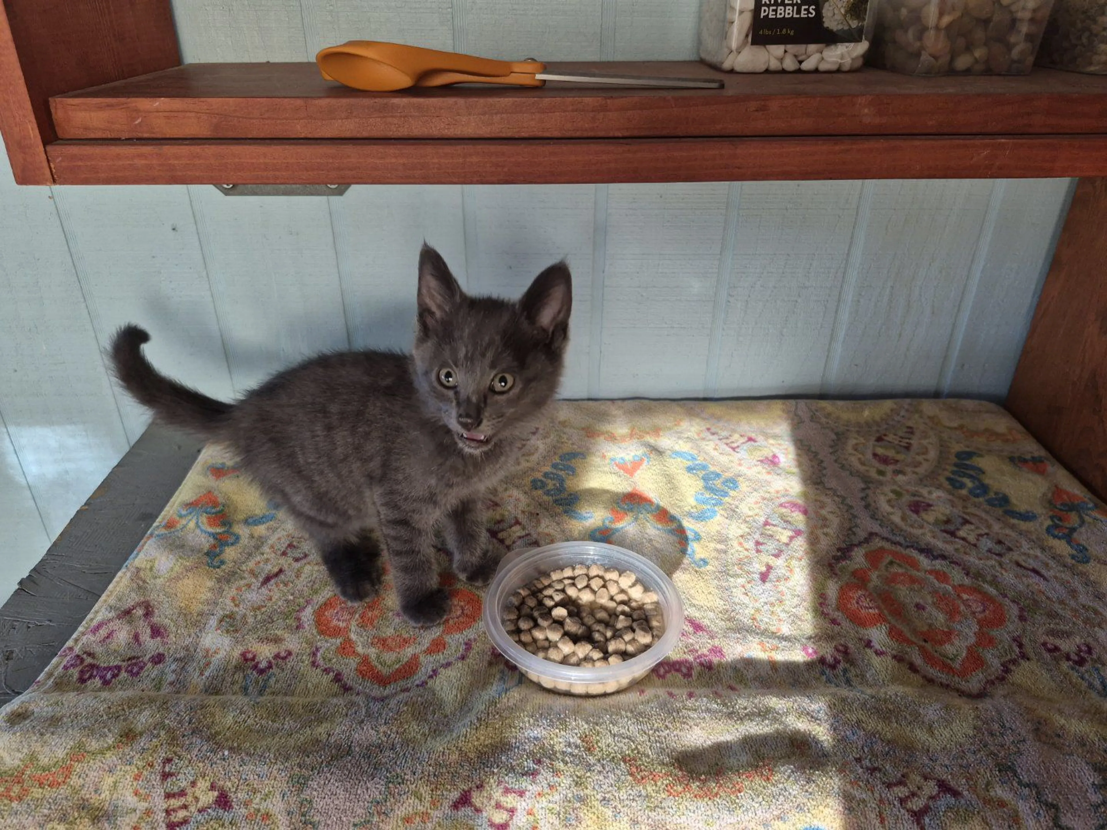 -1