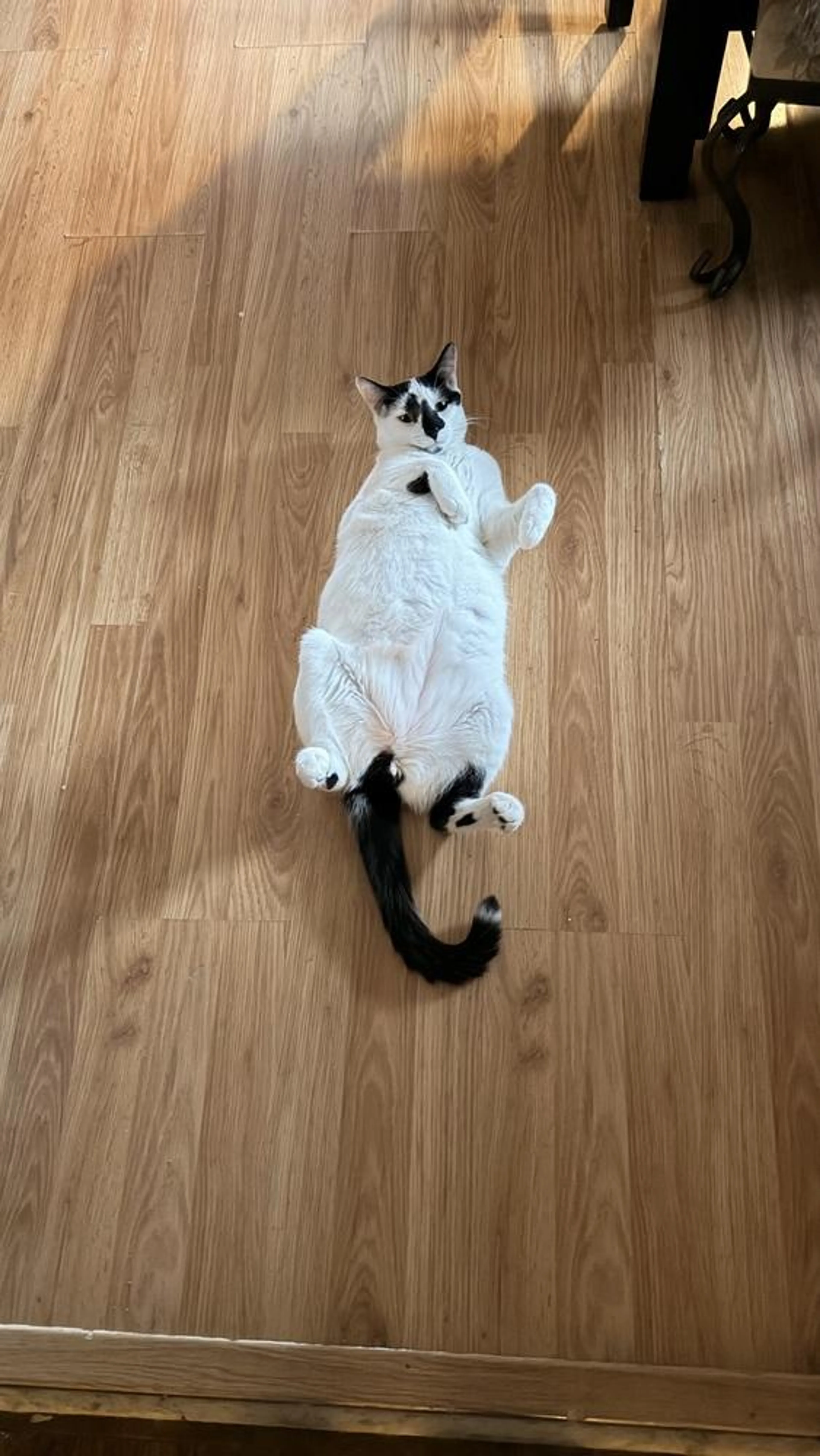 -0