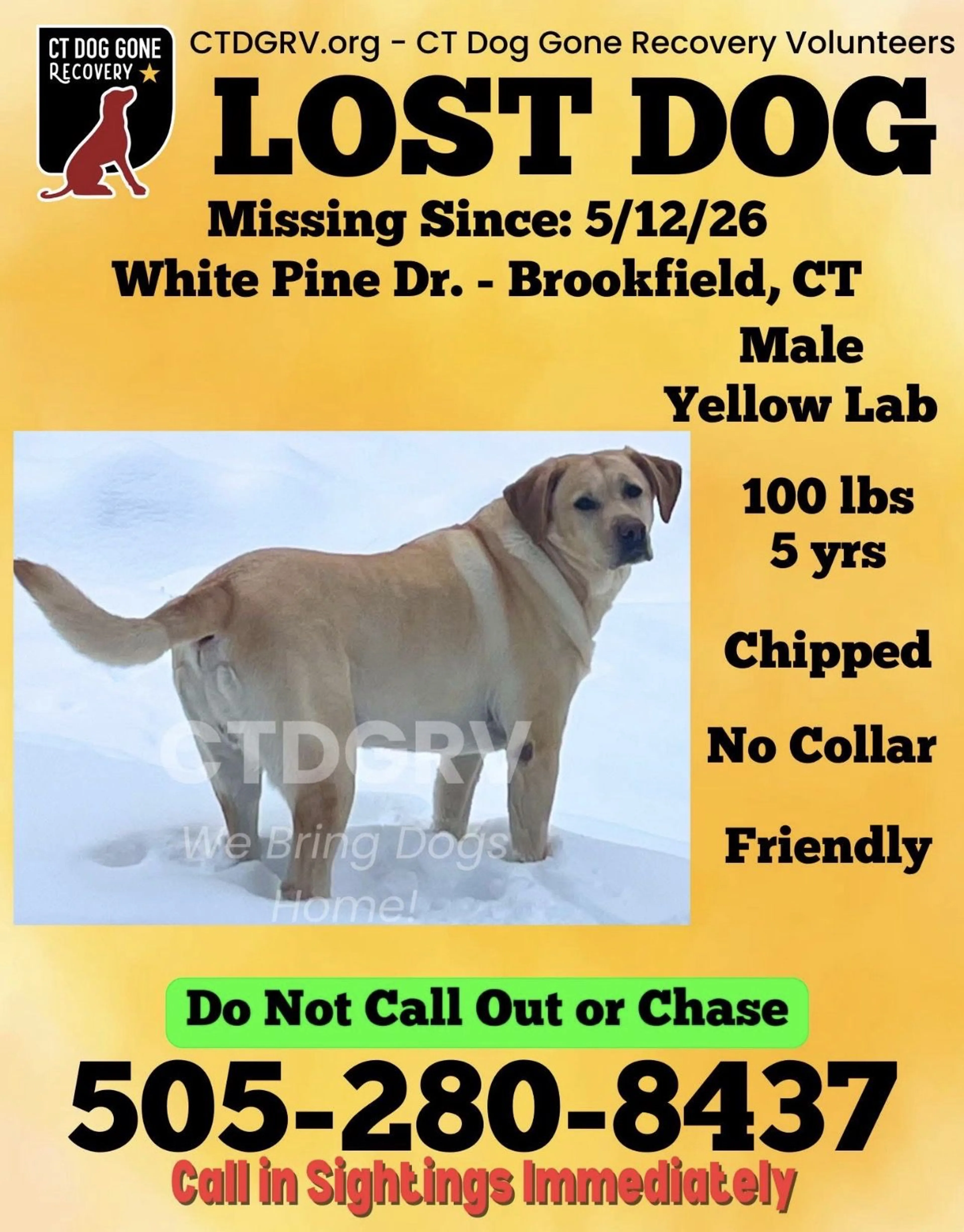 Lost pet